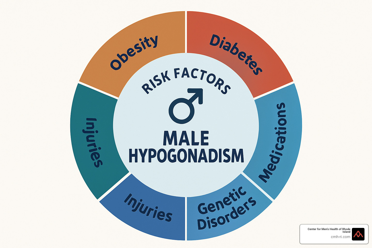 Risk factors for male hypogonadism shown in a wheel diagram including obesity, diabetes, aging, medications, genetic disorders, and injuries - male hypogonadism
