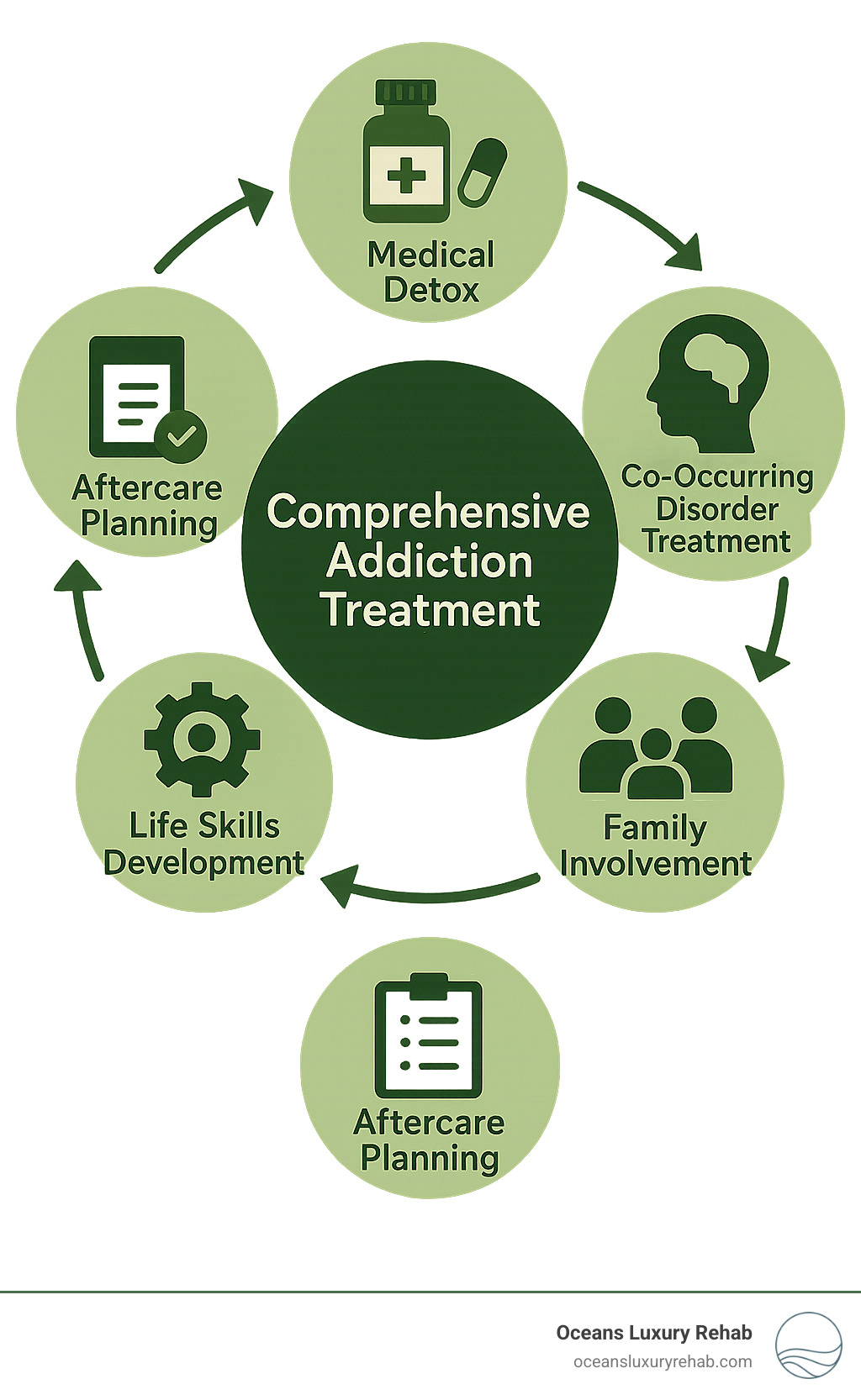 Components of comprehensive addiction treatment showing medical detox, therapy approaches, co-occurring disorder treatment, family involvement, life skills development, and aftercare planning in an interconnected circular flow diagram - Comprehensive addiction treatment infographic 