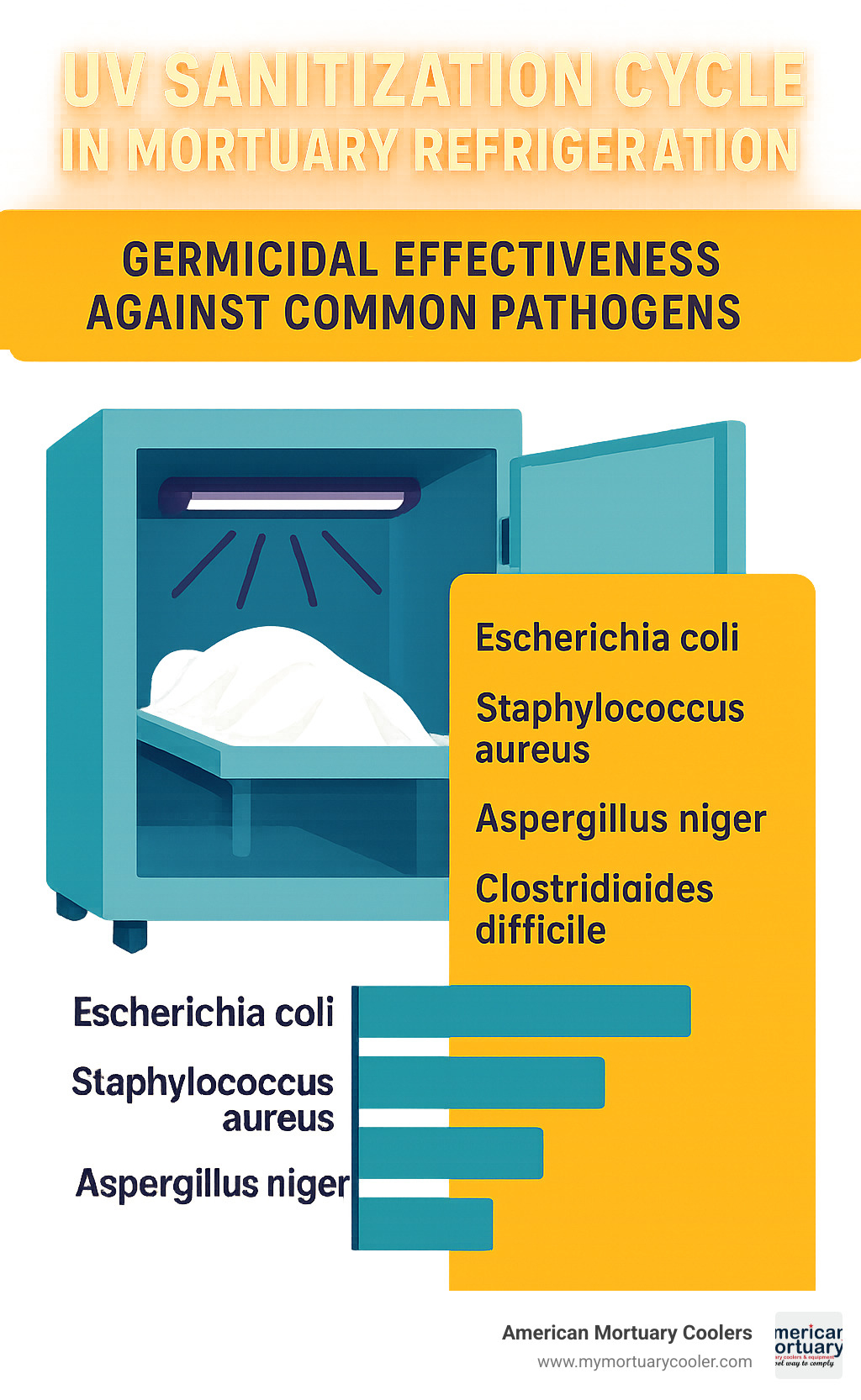UV sanitization cycle in mortuary refrigeration showing germicidal effectiveness against common pathogens - bariatric mortuary fridge infographic 