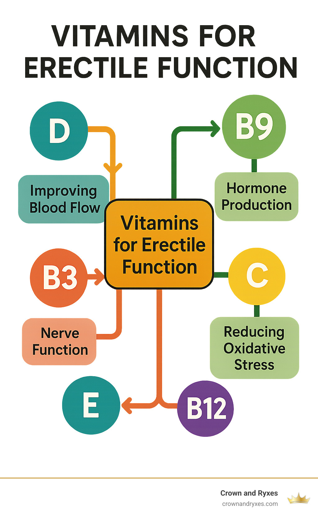 Flowchart showing how vitamins D, B9, B3, C, E, and B12 support different aspects of erectile function by improving blood flow, hormone production, nerve function, and reducing oxidative stress - vitamins that help with erectile dysfunction infographic 