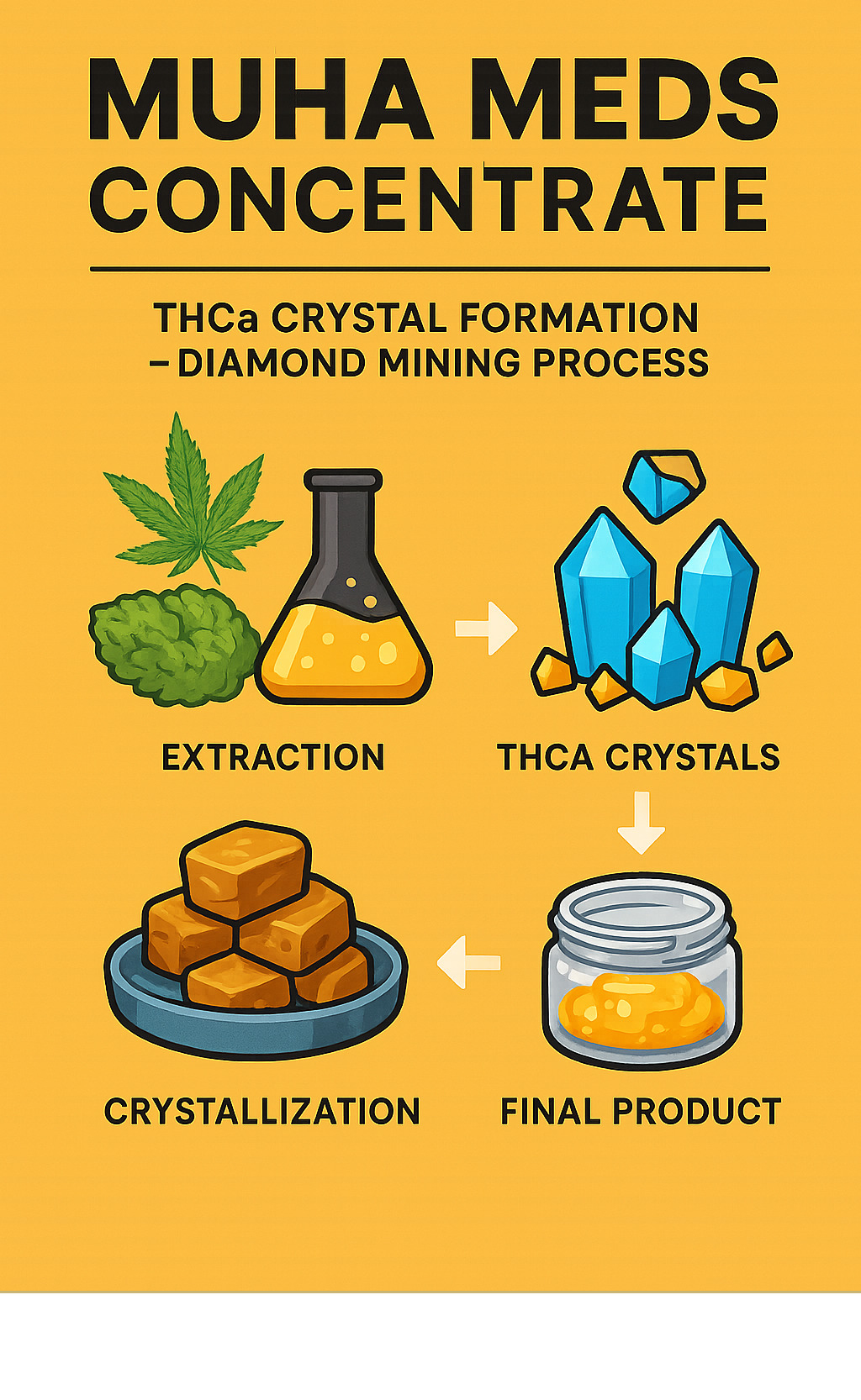 Diagram showing the formation of THCa crystals during the diamond mining process, from initial extraction through crystallization to final product - MUHA MEDS CONCENTRATE infographic 