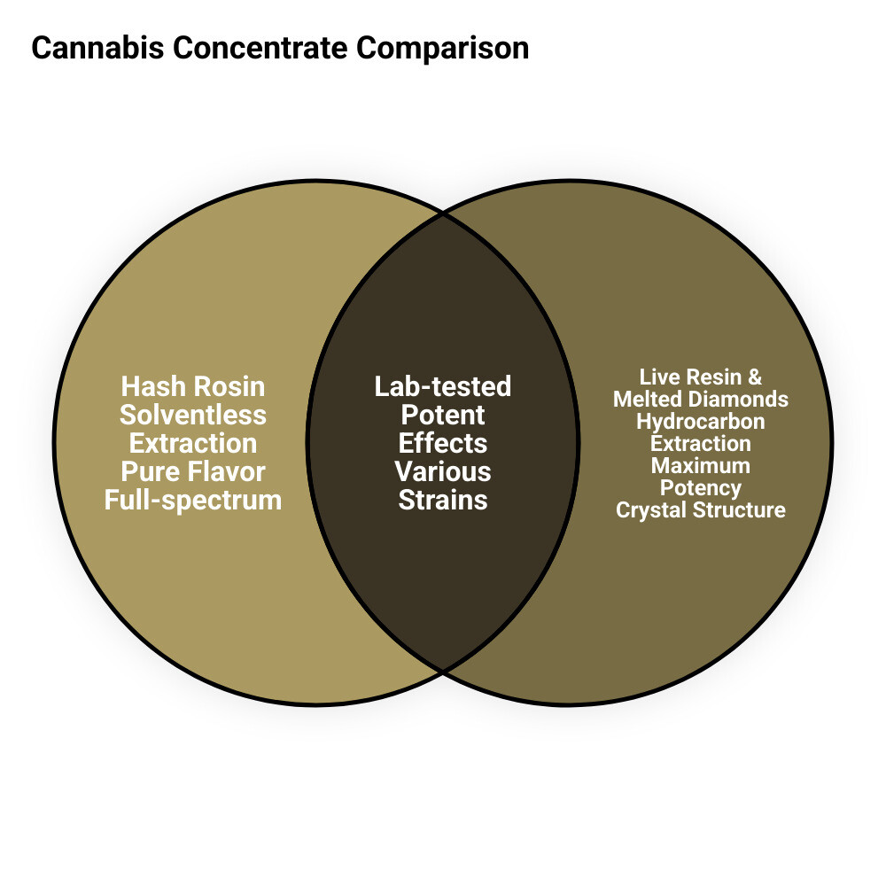 Comparison of cannabis concentrate types showing extraction methods, potency levels, and typical effects for Hash Rosin (solventless/ice-water extraction), Live Resin (hydrocarbon extraction with flash-frozen material), and Melted Diamonds (THCa crystals with reintroduced terpenes) - MUHA MEDS CONCENTRATE infographic venn_diagram