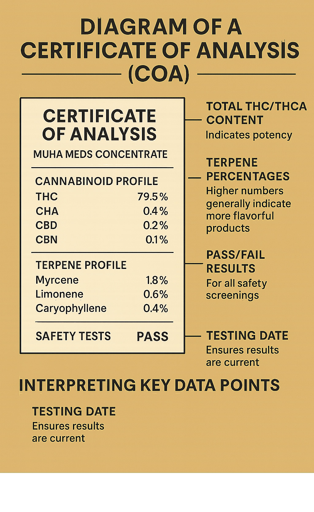 Diagram of a Certificate of Analysis (COA) showing cannabinoid percentages, terpene profiles, and safety test results with explanations of how to interpret key data points - MUHA MEDS CONCENTRATE infographic 