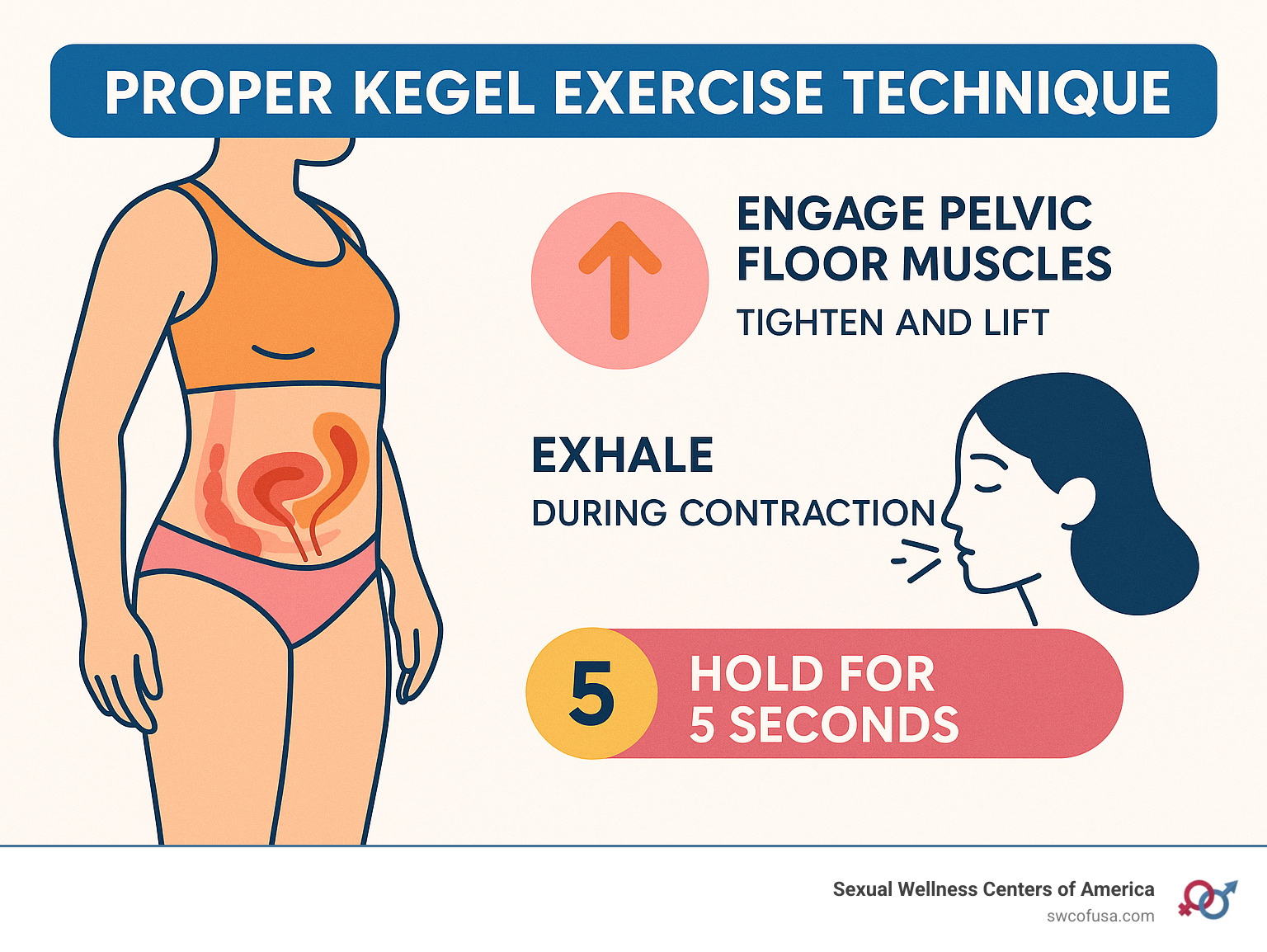 Detailed diagram showing proper Kegel exercise technique with instructions on correct muscle engagement and breathing patterns - how to refresh your vagina infographic Detailed diagram showing proper Kegel exercise technique with instructions on correct muscle engagement and breathing patterns - how to refresh your vagina infographic
