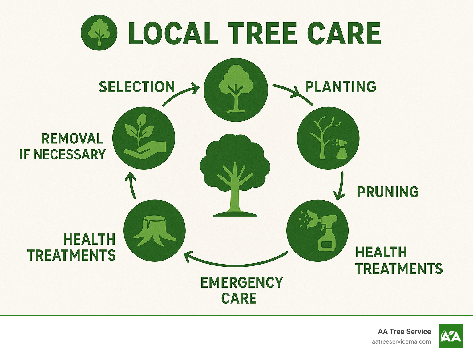 Detailed infographic showing the complete tree care lifecycle including selection, planting, regular maintenance, pruning, health treatments, emergency care, and removal when necessary - local tree care infographic 