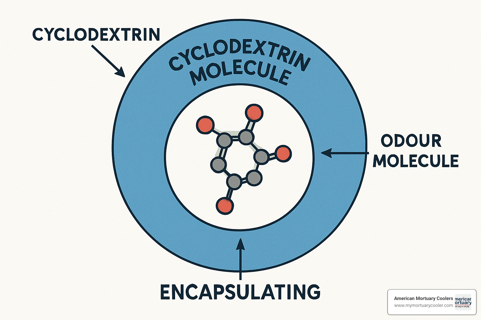 Chemical diagram showing odour molecule being encapsulated by cyclodextrin ring (as in Febreze) - odour neutralizer spray