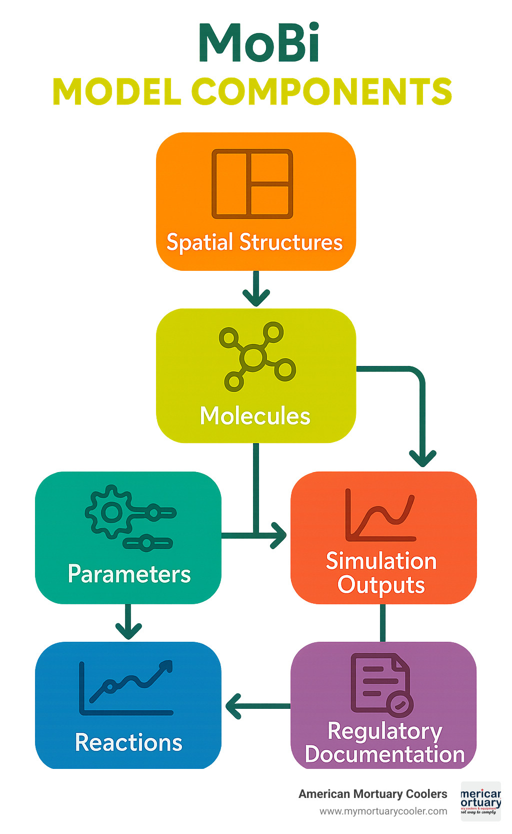 Comprehensive workflow diagram showing MoBi model components including spatial structures, molecules, reactions, parameters, simulation outputs and regulatory documentation - mobi model infographic 