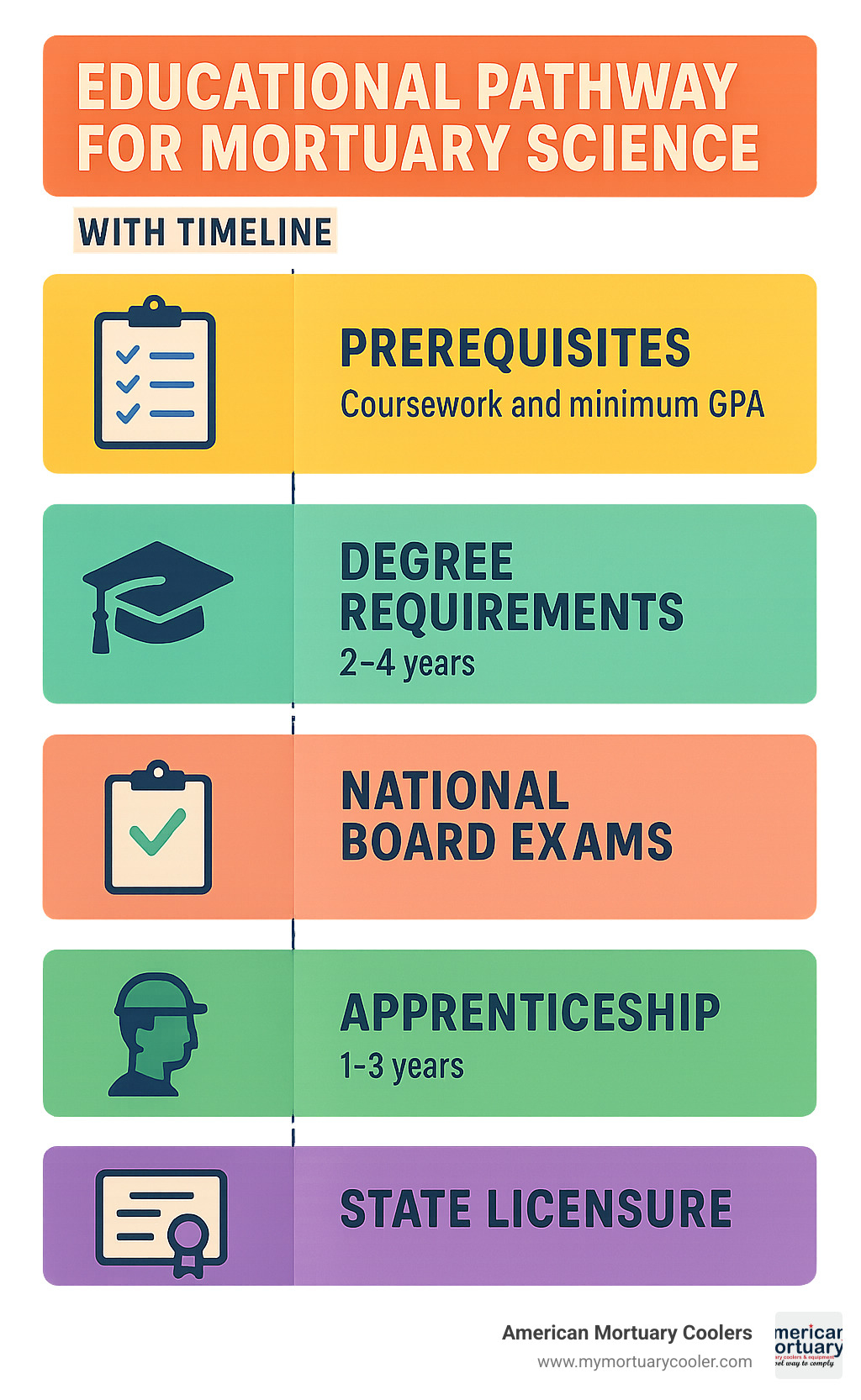 Educational pathway for mortuary science showing prerequisites, degree requirements, national board exams, apprenticeship, and state licensure with timeline - mortuary science degree infographic 