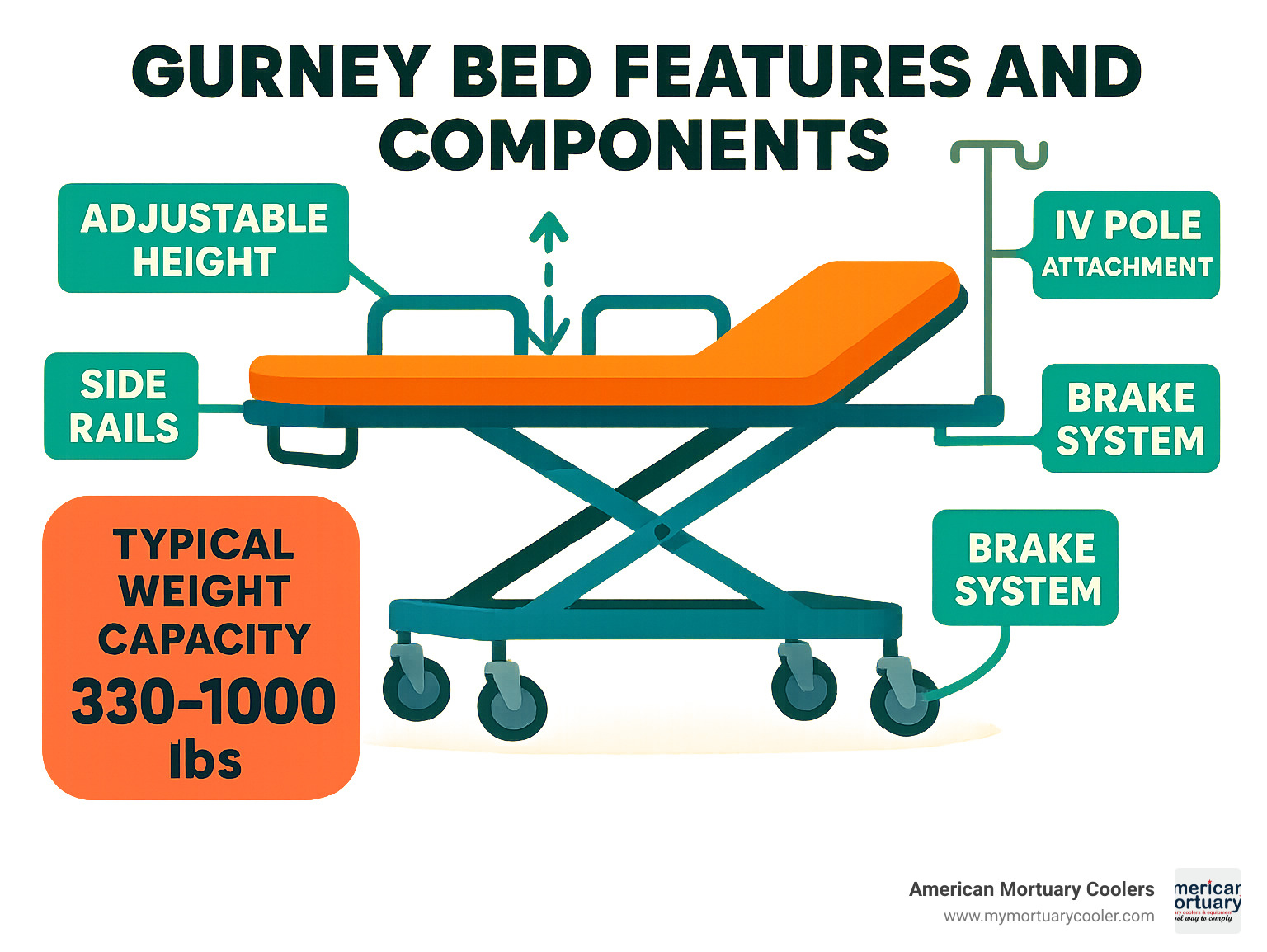 Gurney bed features and components showing adjustable height mechanism, side rails, brake system, IV pole attachments, and cushioned surface with specifications for typical weight capacities - gerni bed infographic 