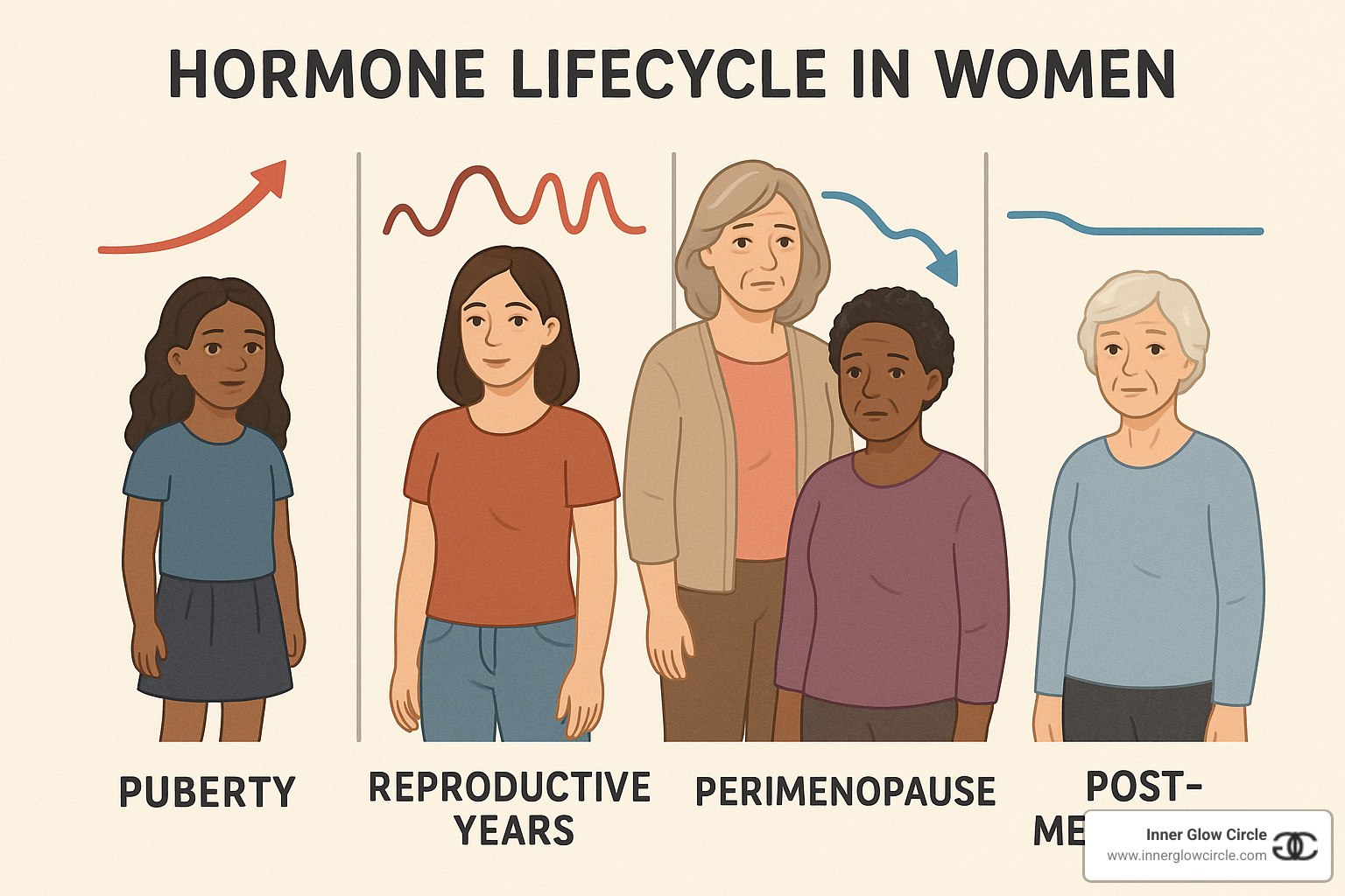 Hormone lifecycle showing changes from puberty through post-menopause - Holistic coaching for women