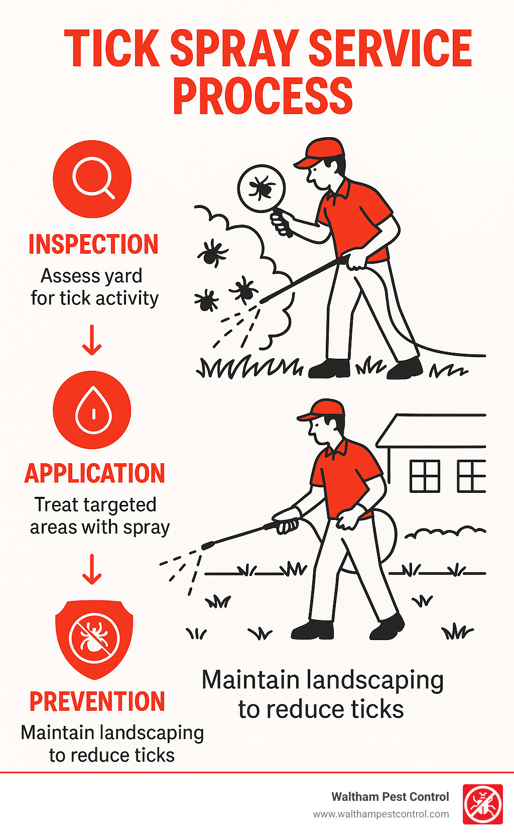 Tick spray service process showing inspection, application, safety period, and prevention steps - tick spray services infographic 