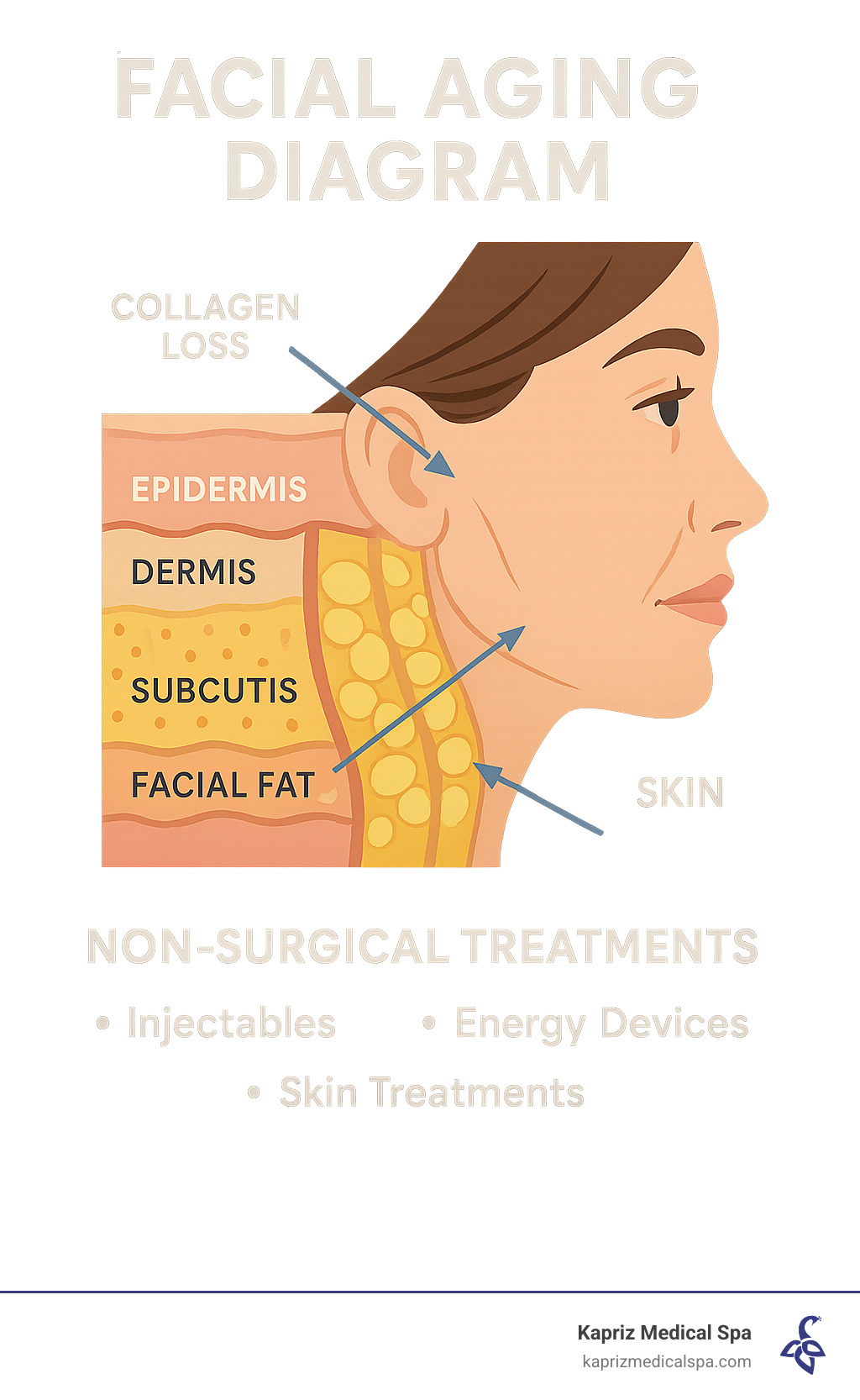 Facial aging diagram showing skin layers, fat compartments, and how non-surgical treatments target different aging factors - Non-surgical facial rejuvenation infographic
