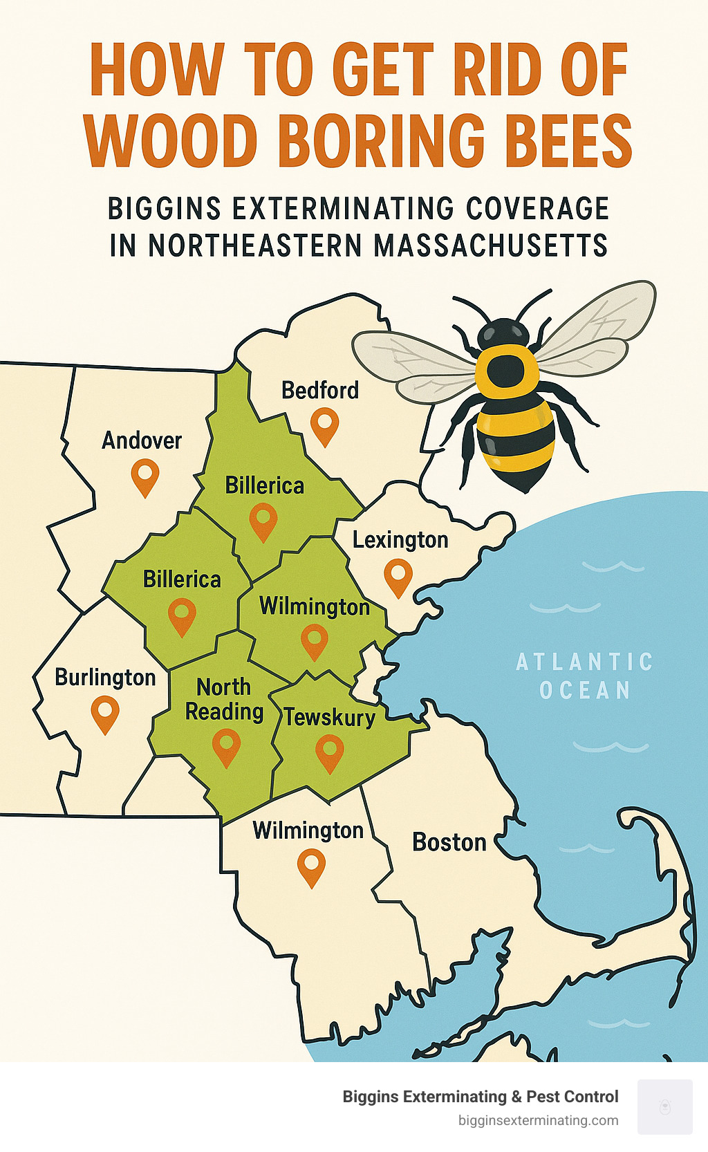 Map of service areas showing Biggins Exterminating coverage in northeastern Massachusetts - how to get rid of wood boring bees infographic
