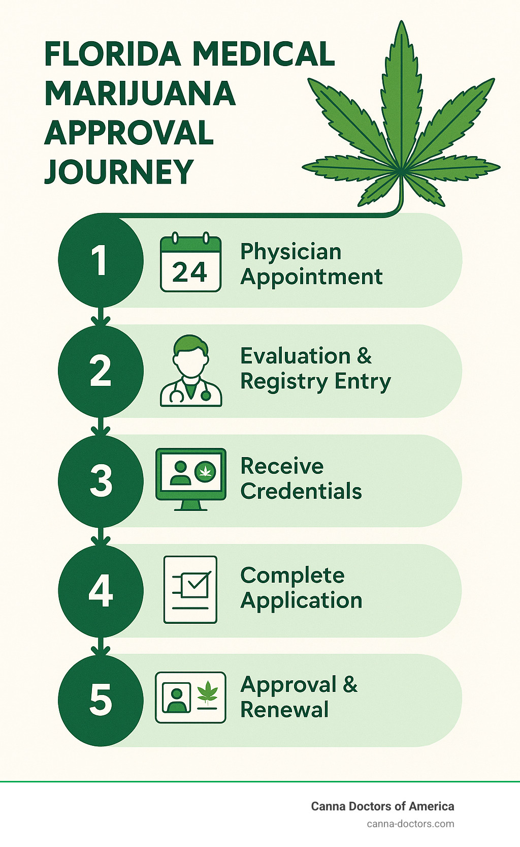 Florida medical marijuana approval journey from qualification to renewal showing the complete patient pathway - Florida medical marijuana approval infographic 