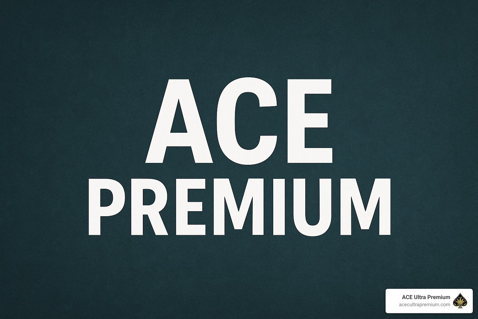 pocket-friendly ACE premium 2g disposable vape device - ace premium