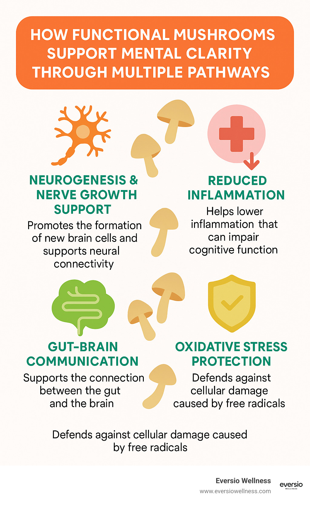 How functional mushrooms support mental clarity through multiple pathways - Mushrooms for mental clarity infographic 