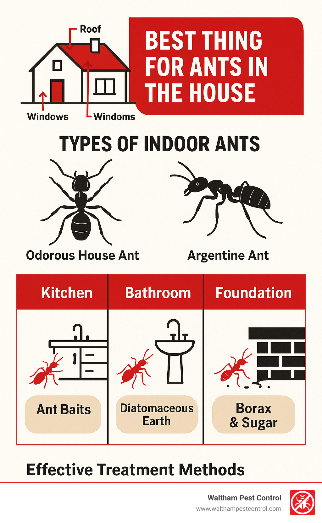 Diagram showing common ant entry points in homes, types of indoor ants, and effective treatment methods for each location including kitchen, bathroom, and foundation areas - best thing for ants in the house infographic 