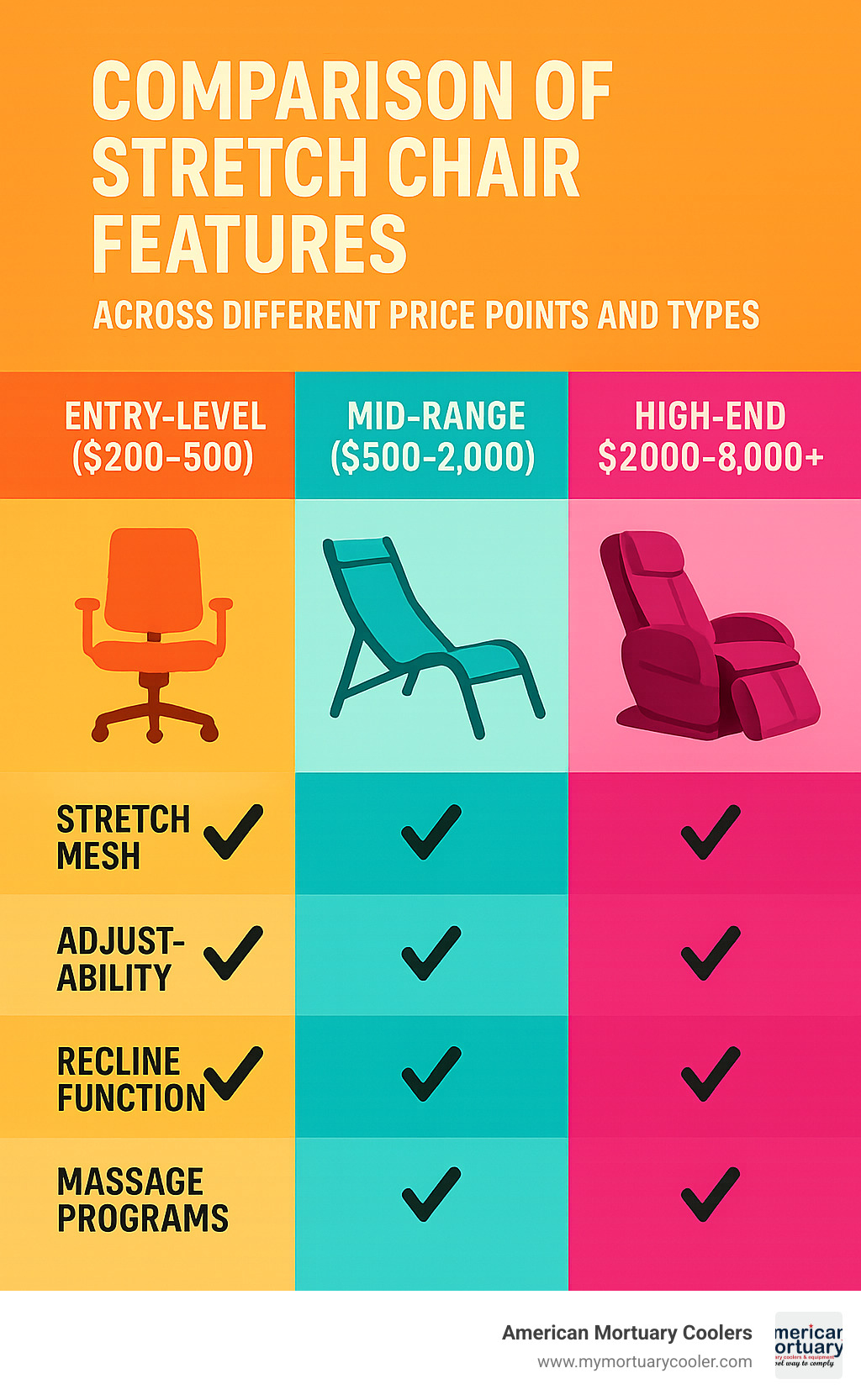 Comparison of stretch chair features across different price points and types - stretch chair infographic 
