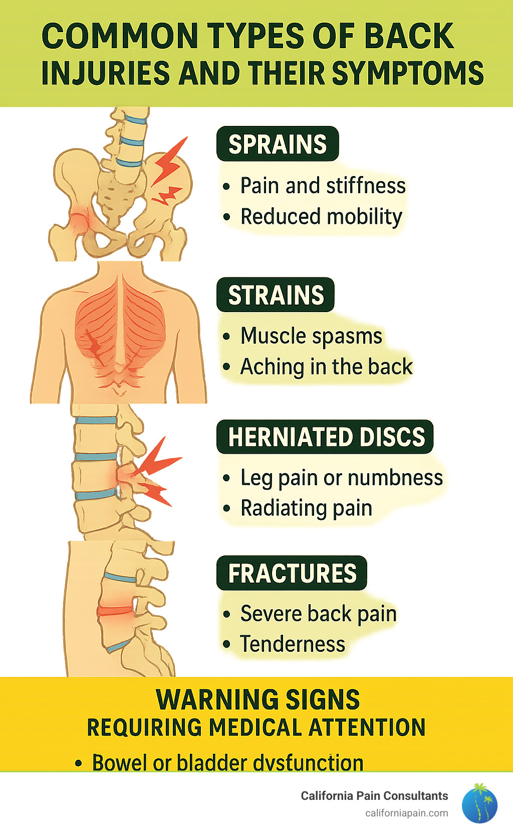 Common types of back injuries and their symptoms showing sprains, strains, herniated discs, and fractures with anatomical illustrations and key warning signs requiring medical attention - back injury infographic