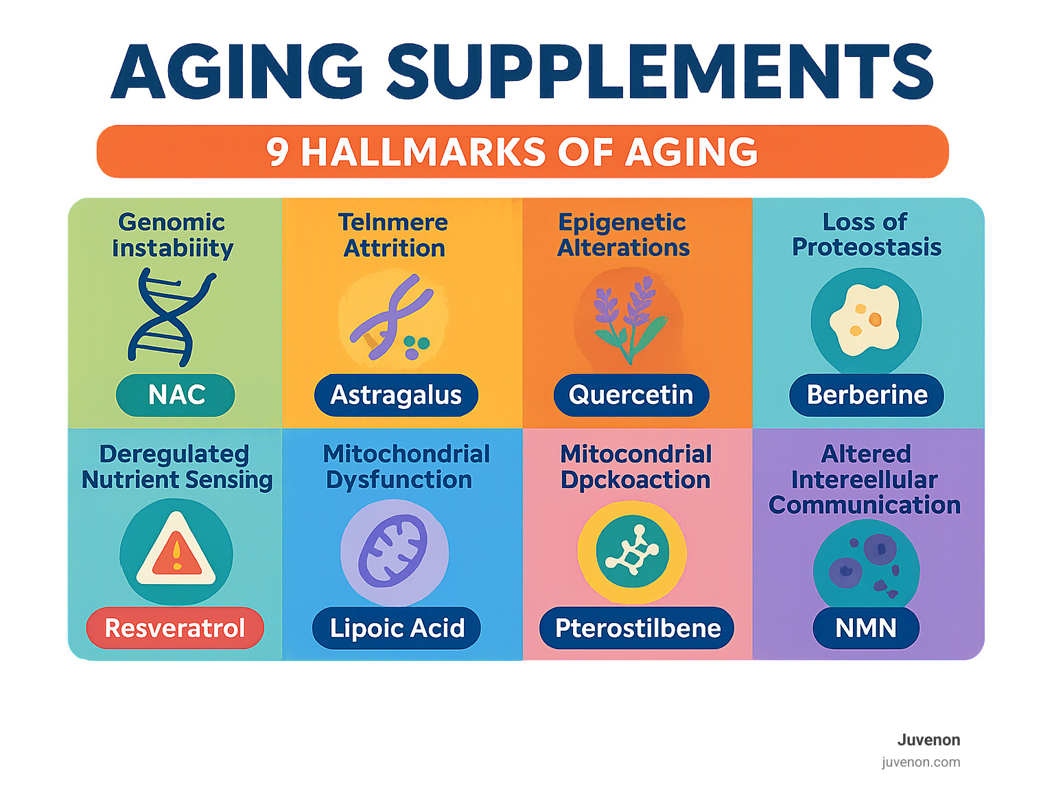 Infographic showing the 9 hallmarks of aging (genomic instability, telomere attrition, epigenetic alterations, loss of proteostasis, deregulated nutrient sensing, mitochondrial dysfunction, cellular senescence, stem cell exhaustion, altered intercellular communication) with corresponding effective supplements for each hallmark - aging supplements infographic 