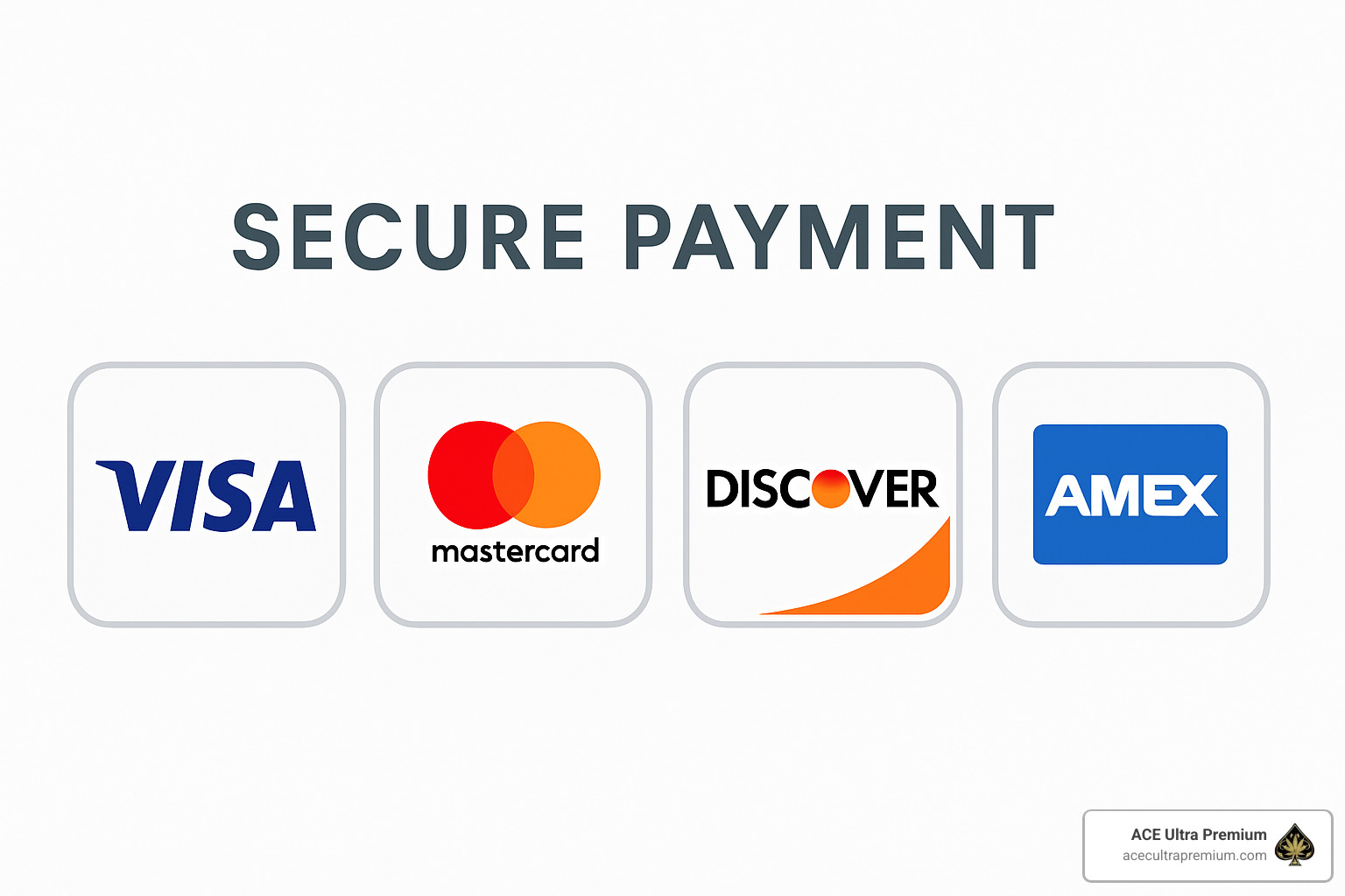 Secure payment icons showing Visa, Mastercard, Find, and AmEx - aces disposable