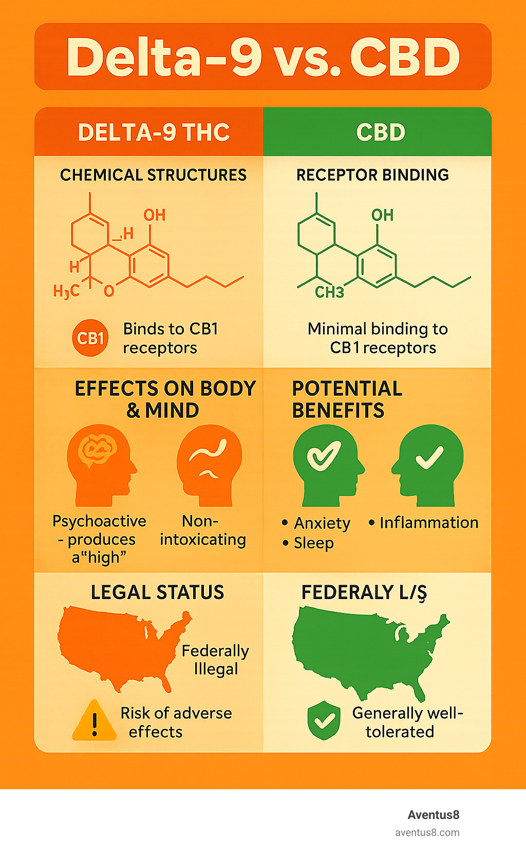Detailed comparison of delta-9 THC and CBD showing chemical structures, receptor binding, effects on body and mind, potential benefits, legal status, and safety profiles - delta 9 vs CBD infographic 