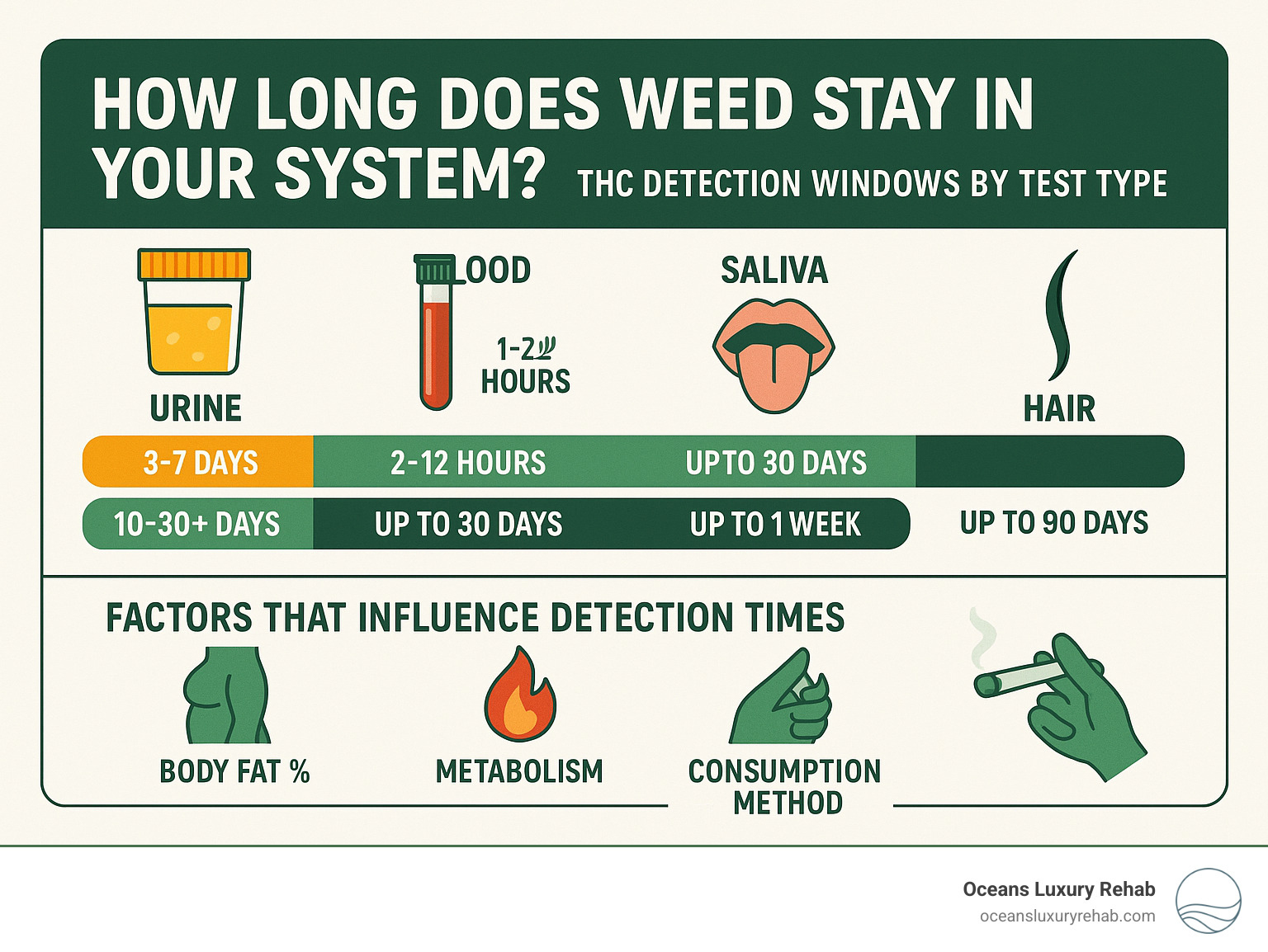 Comprehensive infographic showing THC detection windows across different test types (urine, blood, saliva, hair) with timeline bars for occasional users versus chronic users, including factors that influence detection times such as body fat percentage, metabolism, and consumption method - how long does weed stay in system after quitting infographic 