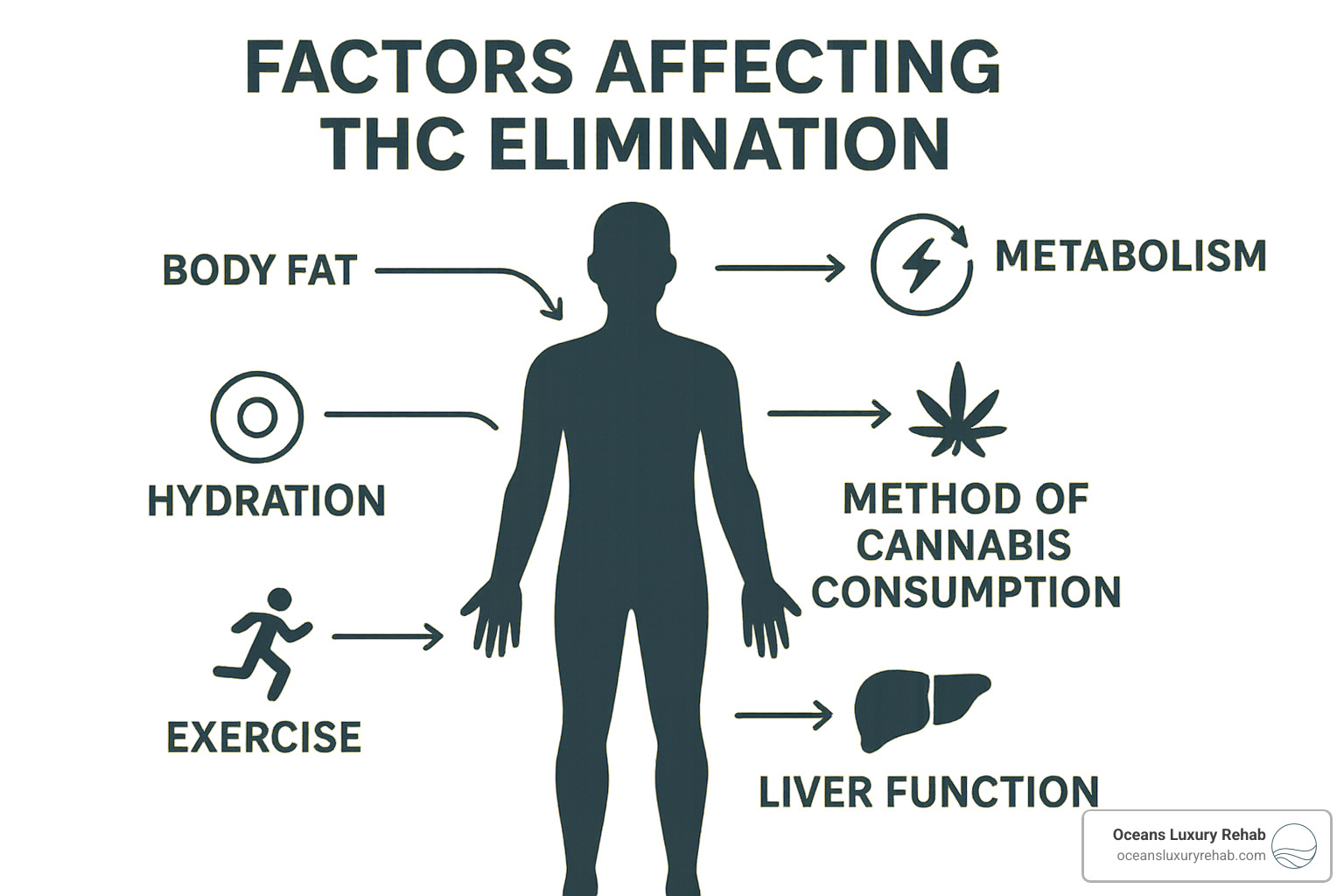 Factors affecting THC elimination - how long does weed stay in system after quitting