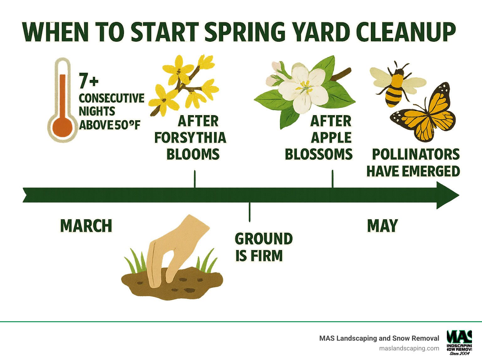 Infographic showing spring yard cleanup timeline with temperature thresholds, natural bloom cues like forsythia and apple blossoms, soil readiness tests, and pollinator emergence periods from March through May - when to start spring yard cleanup infographic 