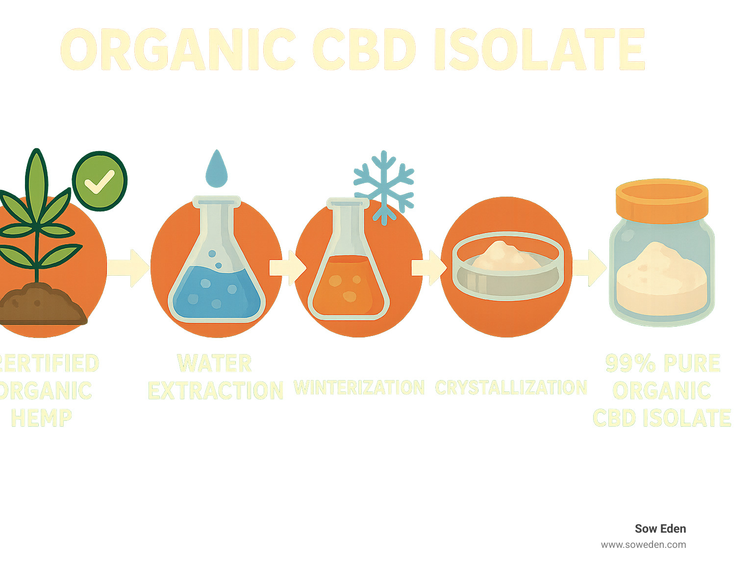 Infographic showing organic CBD isolate production workflow from certified organic hemp cultivation through water extraction, winterization, crystallization, and third-party lab testing to final 99%+ pure organic CBD isolate powder - organic cbd isolate infographic 