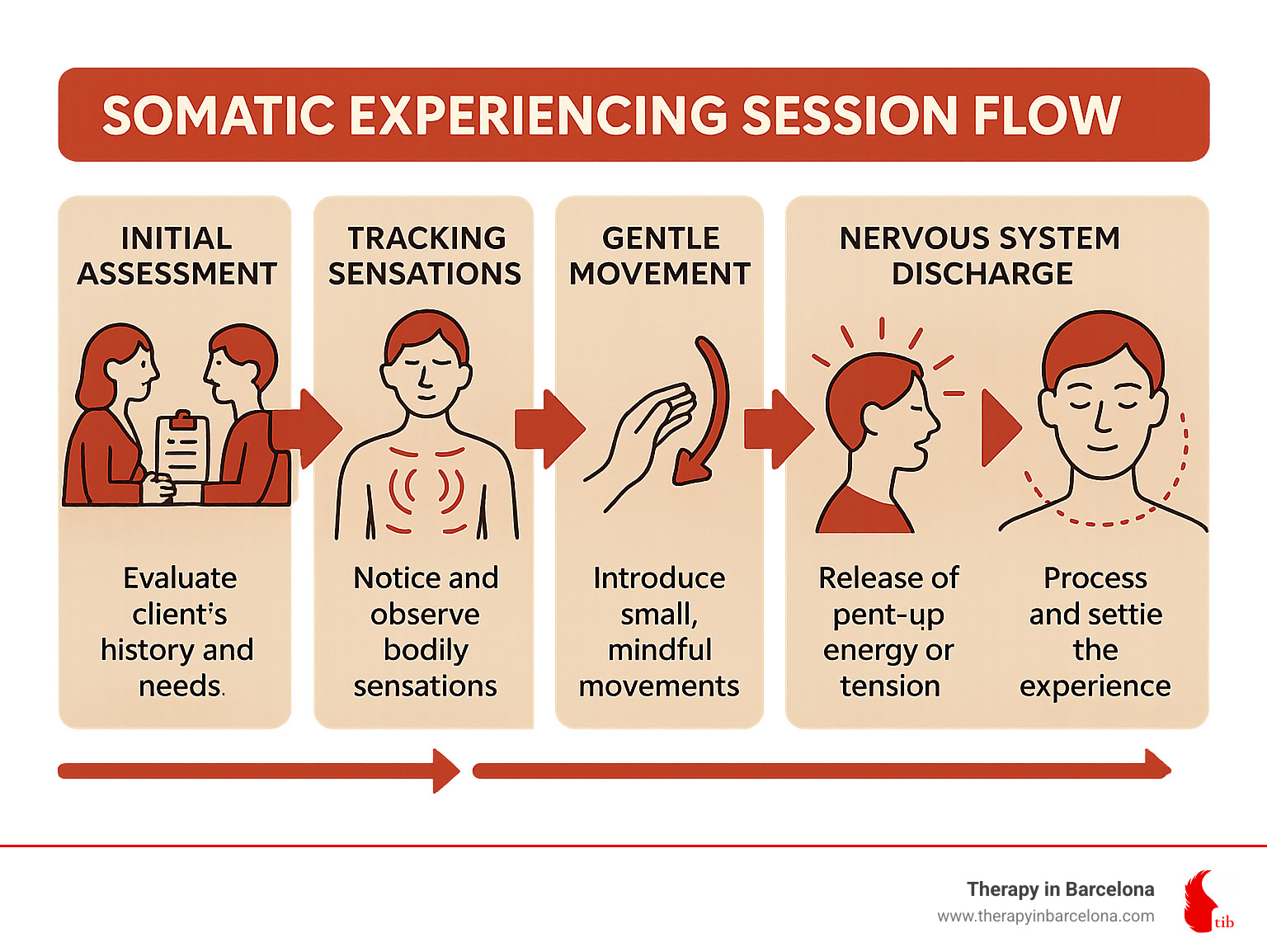 Detailed infographic showing Somatic Experiencing session flow: initial assessment, tracking sensations, gentle movement, nervous system discharge, and integration phases - Somatic Experiencing Barcelona infographic 