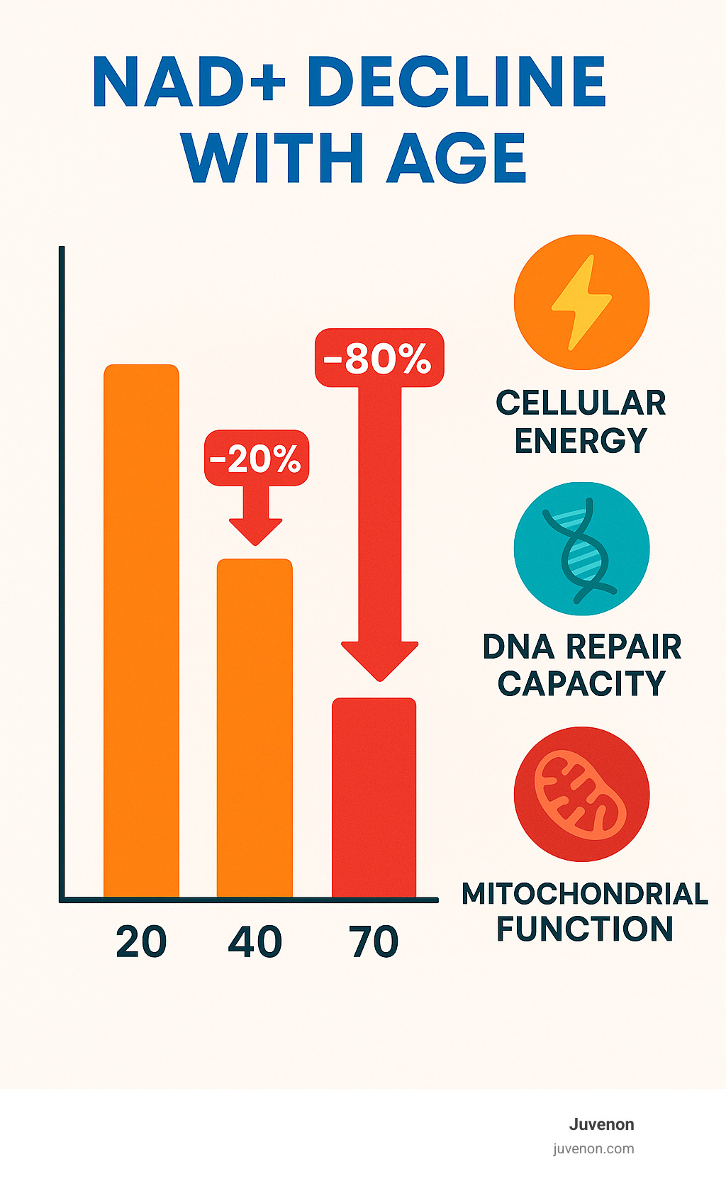 Infographic showing NAD+ decline from age 20 to 70, with specific percentage drops at each decade and corresponding impacts on cellular energy, DNA repair capacity, and mitochondrial function - what is the best nad supplement to take infographic 