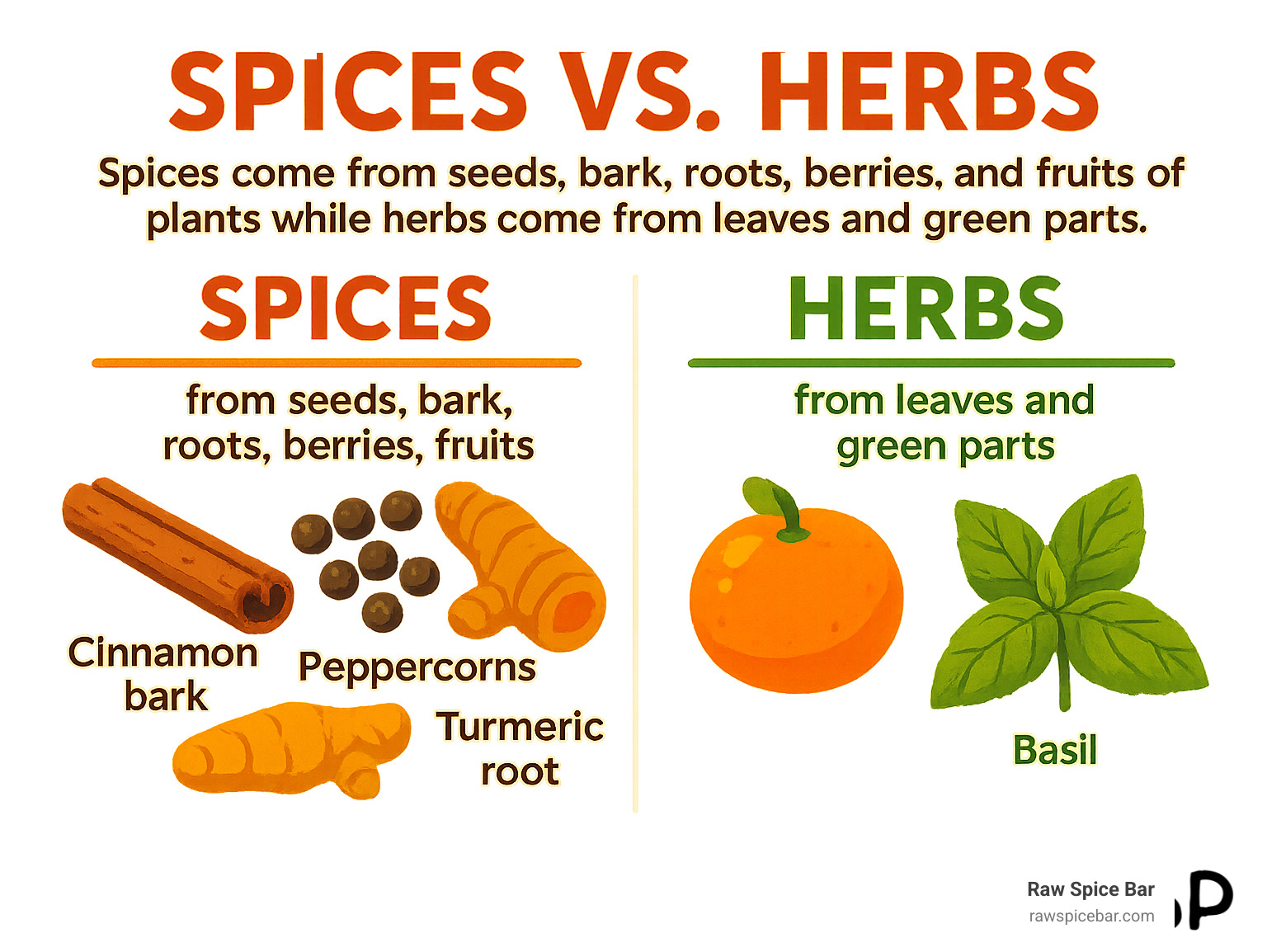 Detailed infographic showing the difference between spices and herbs: spices come from seeds, bark, roots, berries and fruits of plants while herbs come from leaves and green parts, with visual examples like cinnamon bark, peppercorns, turmeric root, and basil leaves - how to use spices infographic 