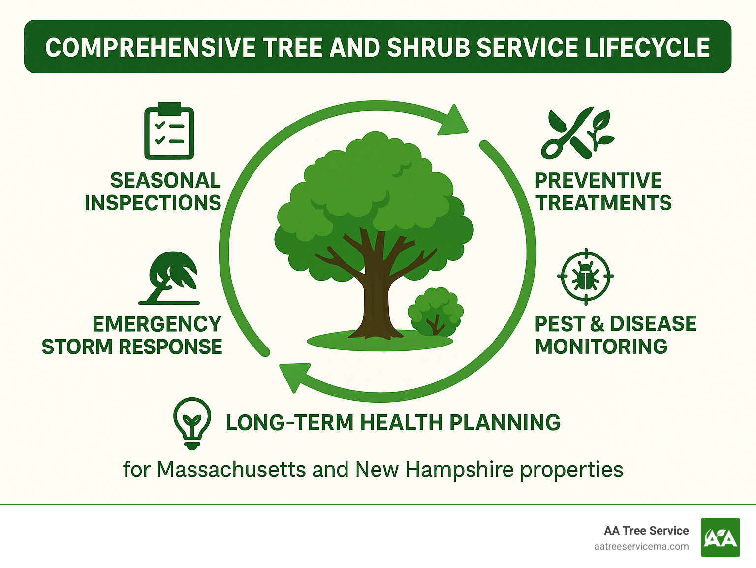 Comprehensive tree and shrub service lifecycle showing seasonal inspections, preventive treatments including pruning and fertilization, pest and disease monitoring, emergency storm response, and long-term health planning for Massachusetts and New Hampshire properties - tree and shrub service infographic 