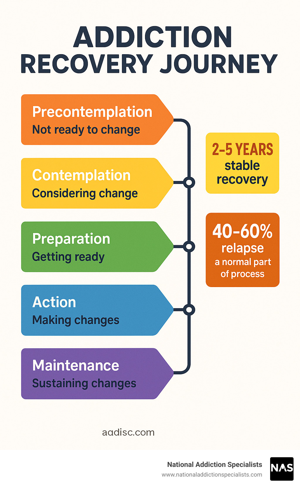 Infographic showing the five stages of addiction recovery journey: Precontemplation (not ready to change), Contemplation (considering change), Preparation (getting ready), Action (making changes), and Maintenance (sustaining changes), with timeline showing 2-5 years for stable recovery and 40-60% relapse rates as normal part of process - addiction recovery journey infographic 
