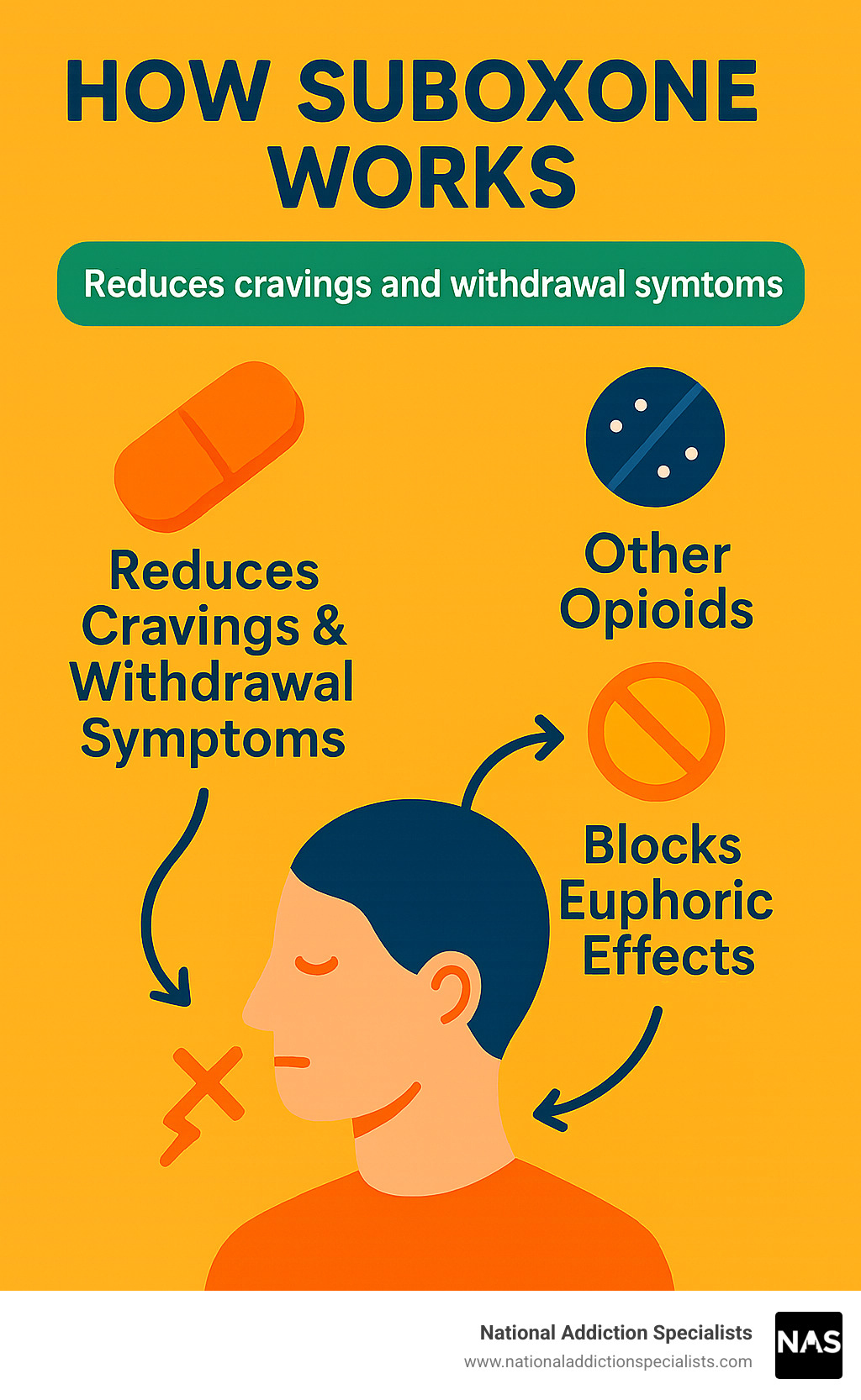 Infographic showing how Suboxone reduces cravings and withdrawal symptoms while blocking euphoric effects of other opioids - addiction recovery journey infographic 