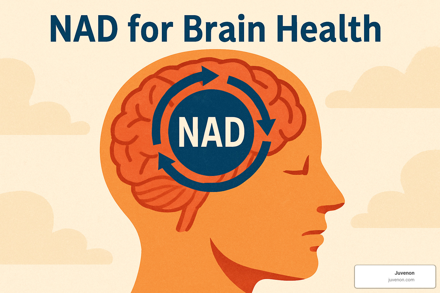 Various NAD+ supplements and precursors - nad for brain health
