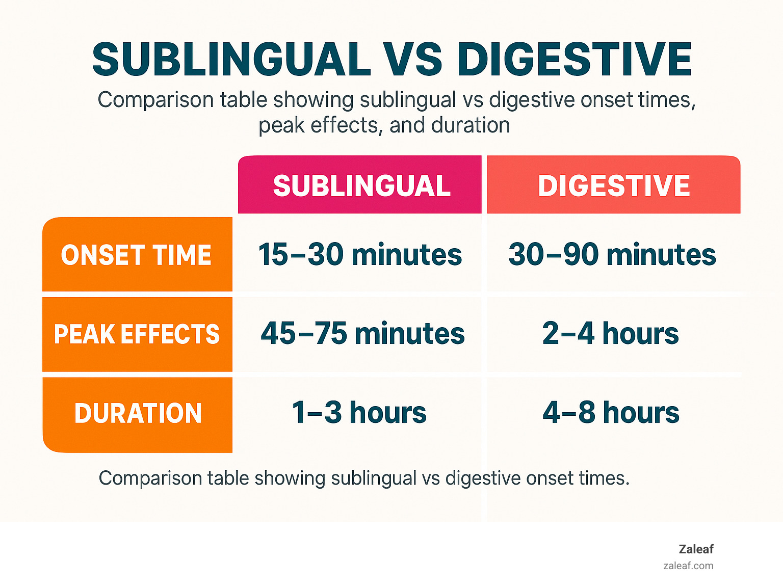 Comparison table showing sublingual vs digestive onset times, peak effects, and duration - how long do edibles take to kick in infographic 