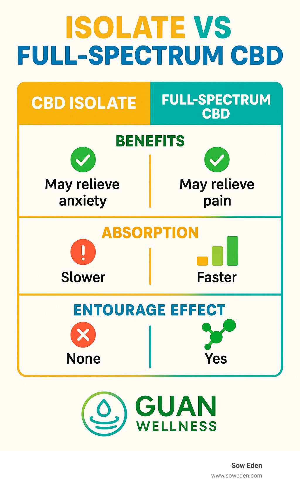 comparison chart showing isolate vs full-spectrum CBD benefits, absorption rates, and entourage effect - cbd bath bomb gift set infographic 