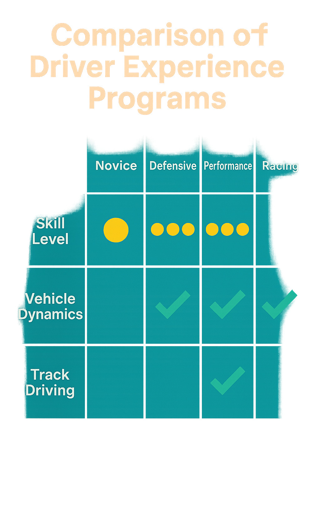 Comparison chart showing different driver experience program types with skill levels and features - driver experience programs infographic 