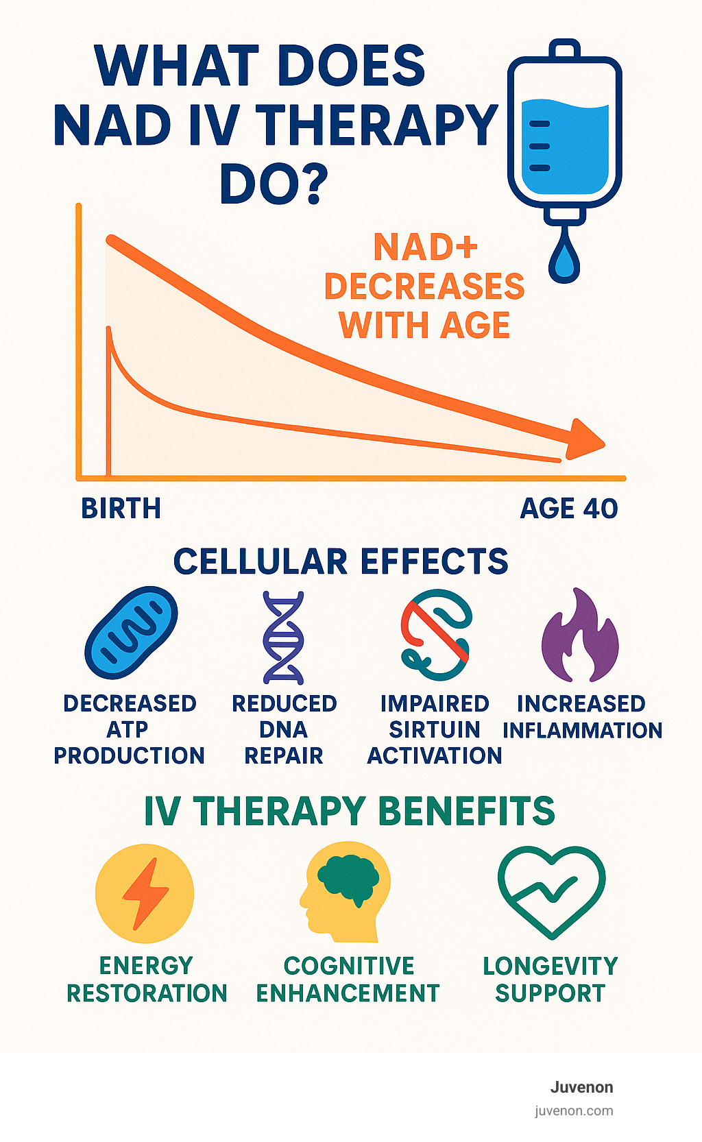 Infographic showing NAD+ declining with age from 100% at birth to 50% by age 40, with arrows pointing to cellular effects including decreased ATP production, reduced DNA repair, impaired sirtuin activation, and increased inflammation, alongside IV therapy benefits of energy restoration, cognitive improvement, and longevity support - what does nad iv therapy do infographic 