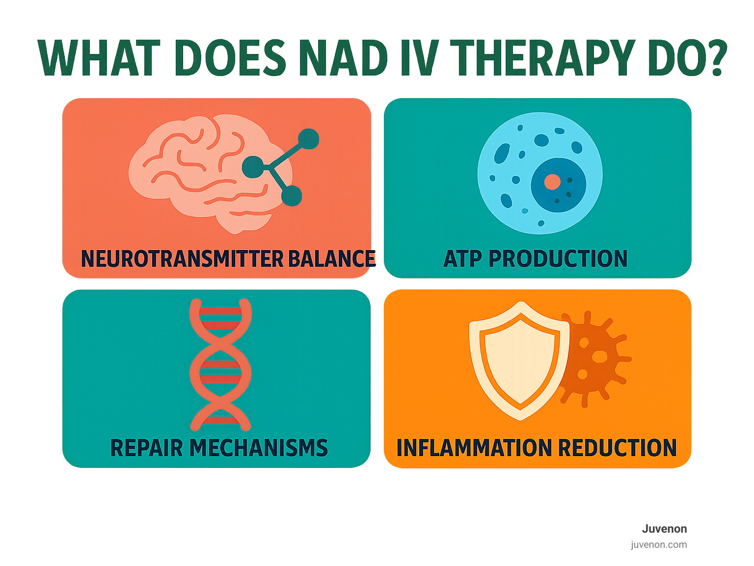 Infographic showing NAD IV therapy benefits across different body systems - brain with neurotransmitter balance, cells with ATP production, DNA with repair mechanisms, and immune system with inflammation reduction - what does nad iv therapy do infographic 