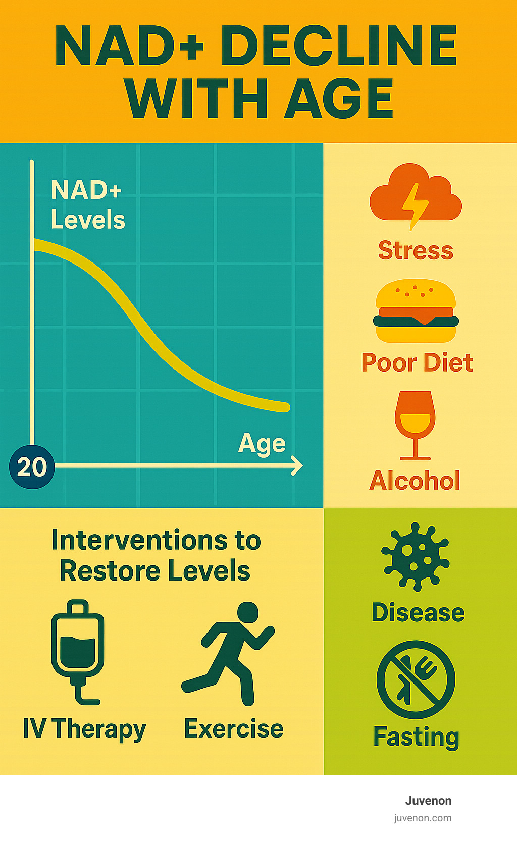 Infographic showing NAD+ decline from age 20 to 80, with factors like stress, poor diet, alcohol, and disease accelerating the decline, plus interventions like IV therapy, exercise, and fasting that can help restore levels - what does nad iv therapy do infographic 