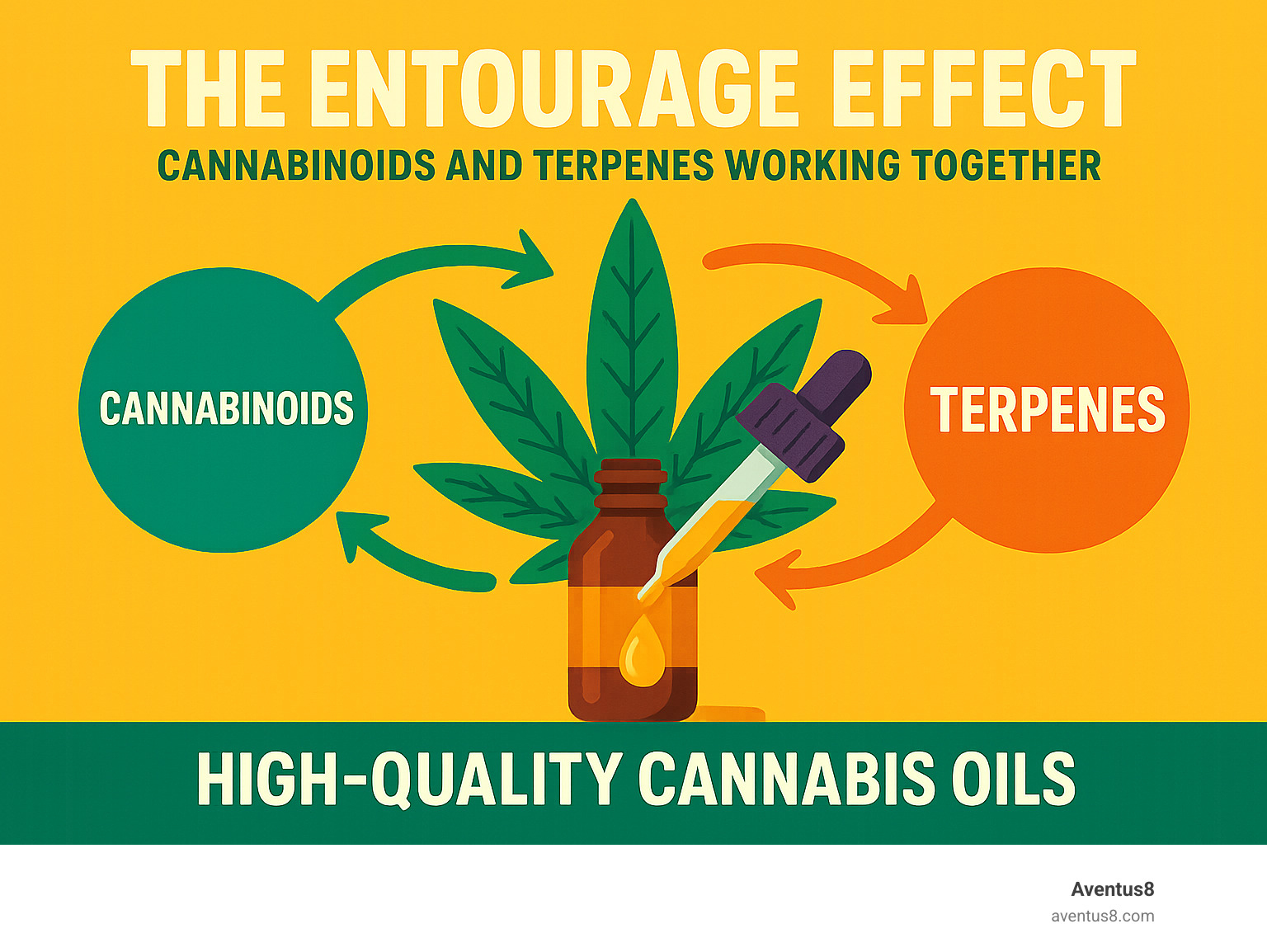 Infographic showing the entourage effect with cannabinoids and terpenes working together - High-quality cannabis oils infographic 