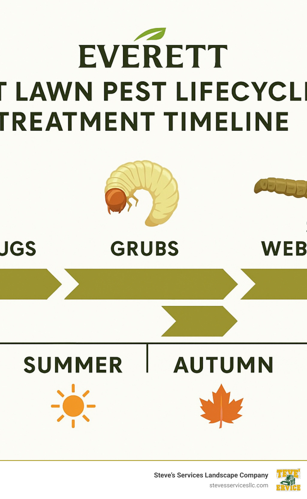 Everett lawn pest lifecycle and treatment timeline showing seasonal patterns of chinch bugs, grubs, and sod webworms with corresponding treatment windows - Everett lawn pest control infographic 
