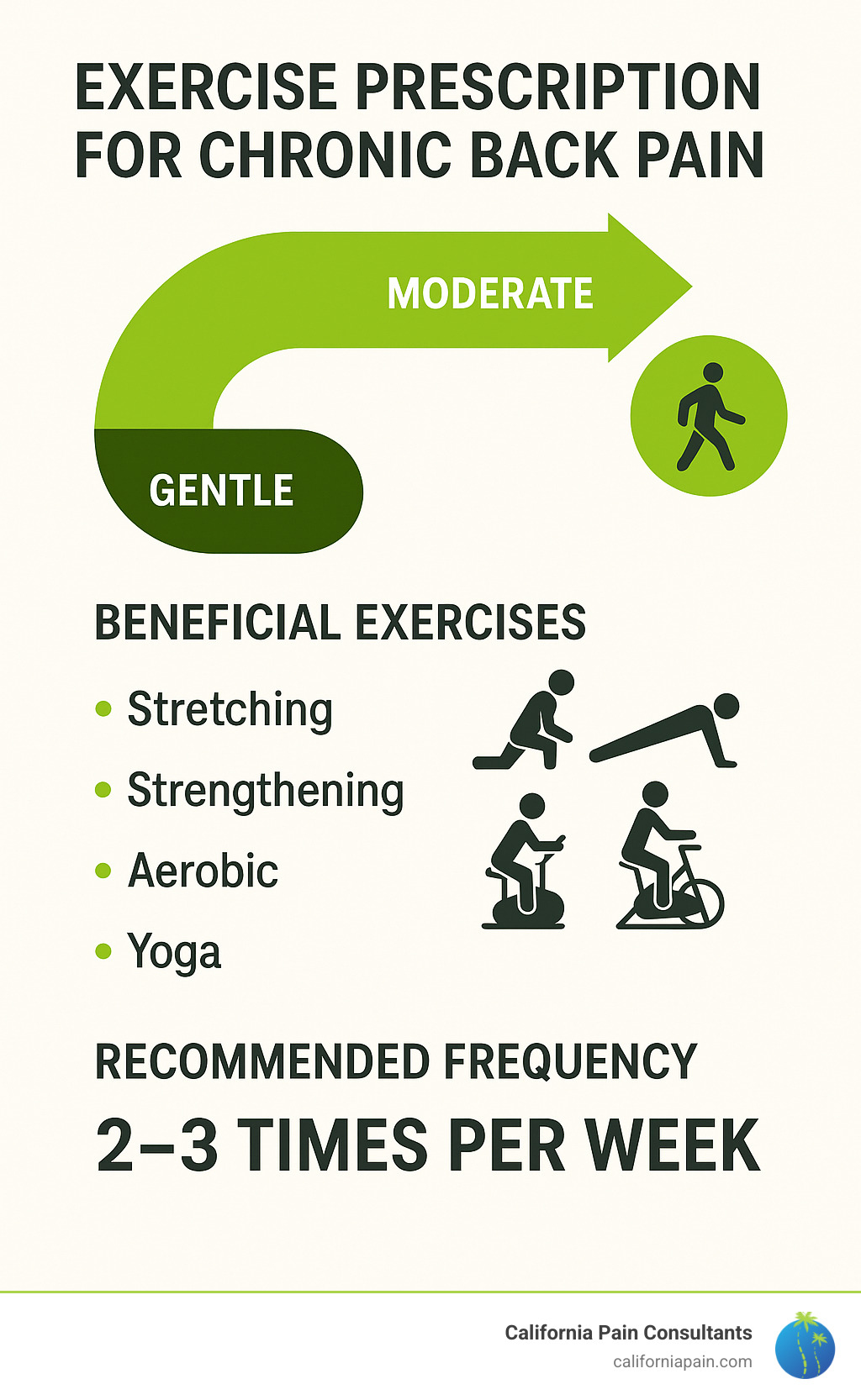 Exercise prescription for chronic back pain showing progression from gentle to moderate intensity, types of beneficial exercises, and recommended frequency - what is the best treatment for chronic back pain infographic Exercise prescription for chronic back pain showing progression from gentle to moderate intensity, types of beneficial exercises, and recommended frequency - what is the best treatment for chronic back pain infographic