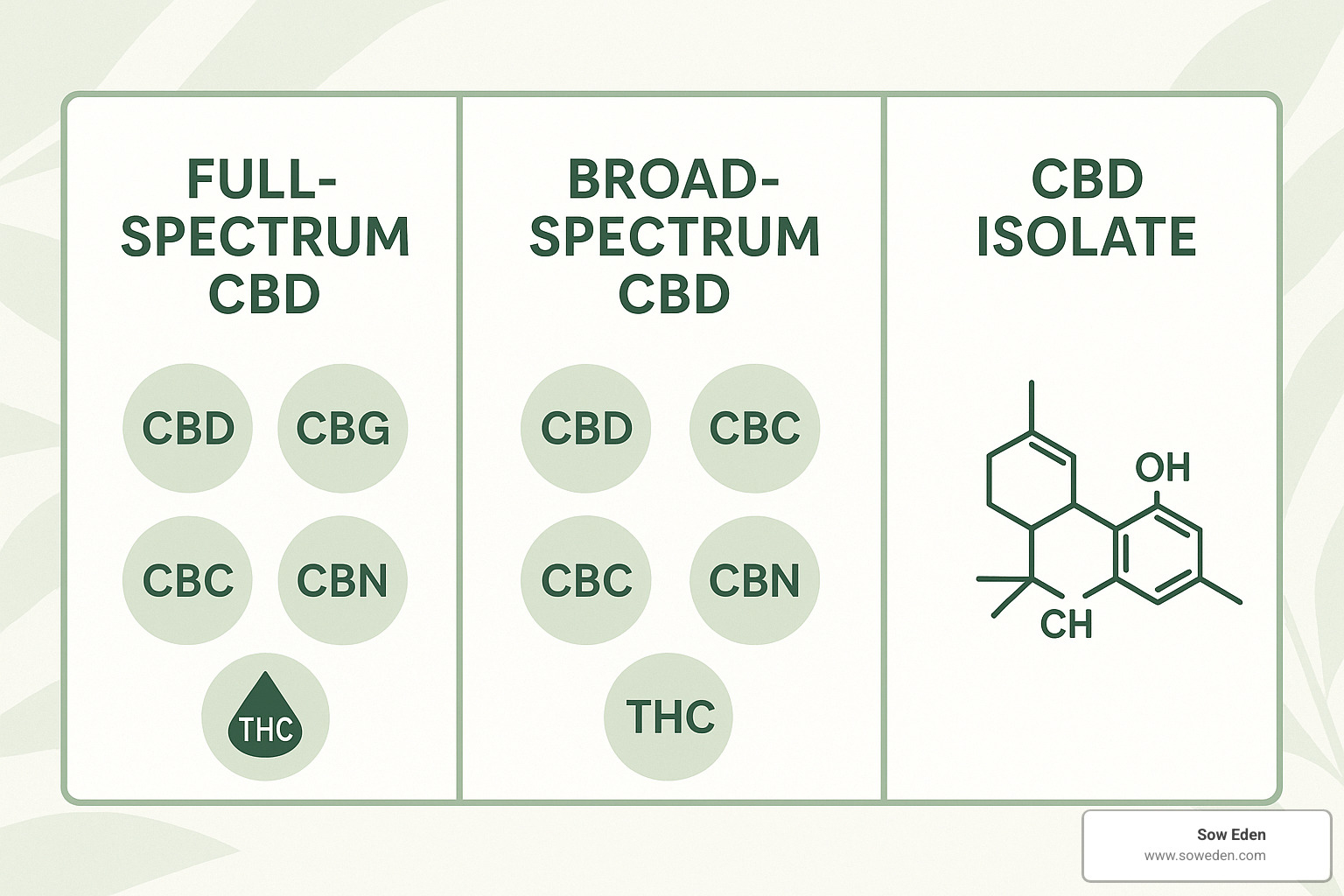 Different types of CBD extracts showing full-spectrum, broad-spectrum and isolate with their components - what are the benefits of cbd in skincare
