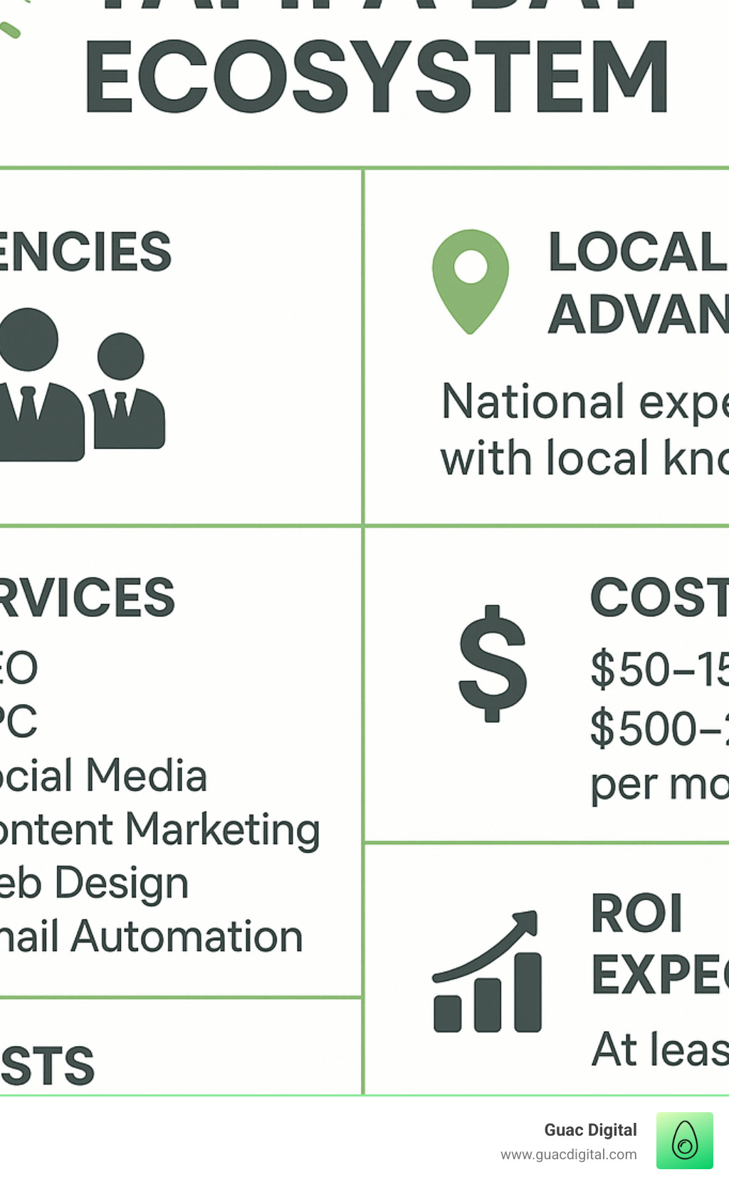 Digital Marketing Tampa Bay Ecosystem showing agencies, services, costs, and ROI expectations with local market advantages - digital marketing tampa bay infographic