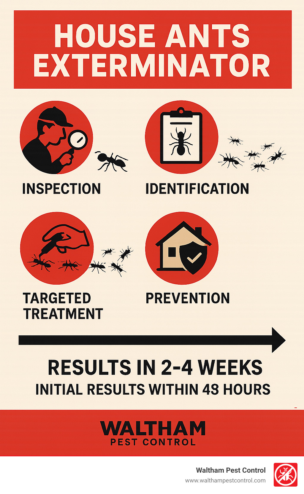 House ant extermination process showing inspection, identification, targeted treatment, and prevention steps with timeline of expected results - House Ants Exterminator infographic 