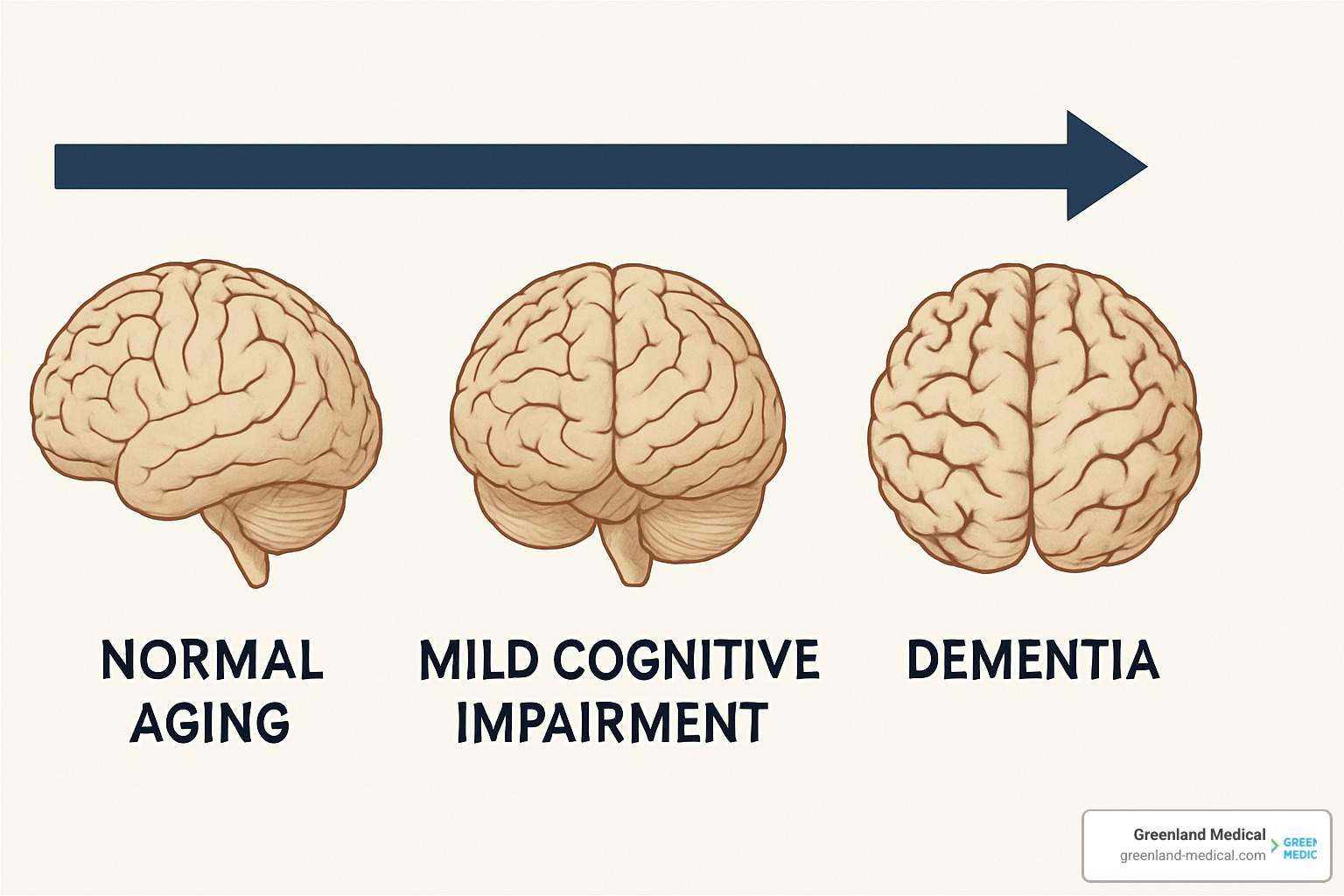 timeline showing brain changes from normal aging to dementia - Cognitive Decline Solutions timeline showing brain changes from normal aging to dementia - Cognitive Decline Solutions